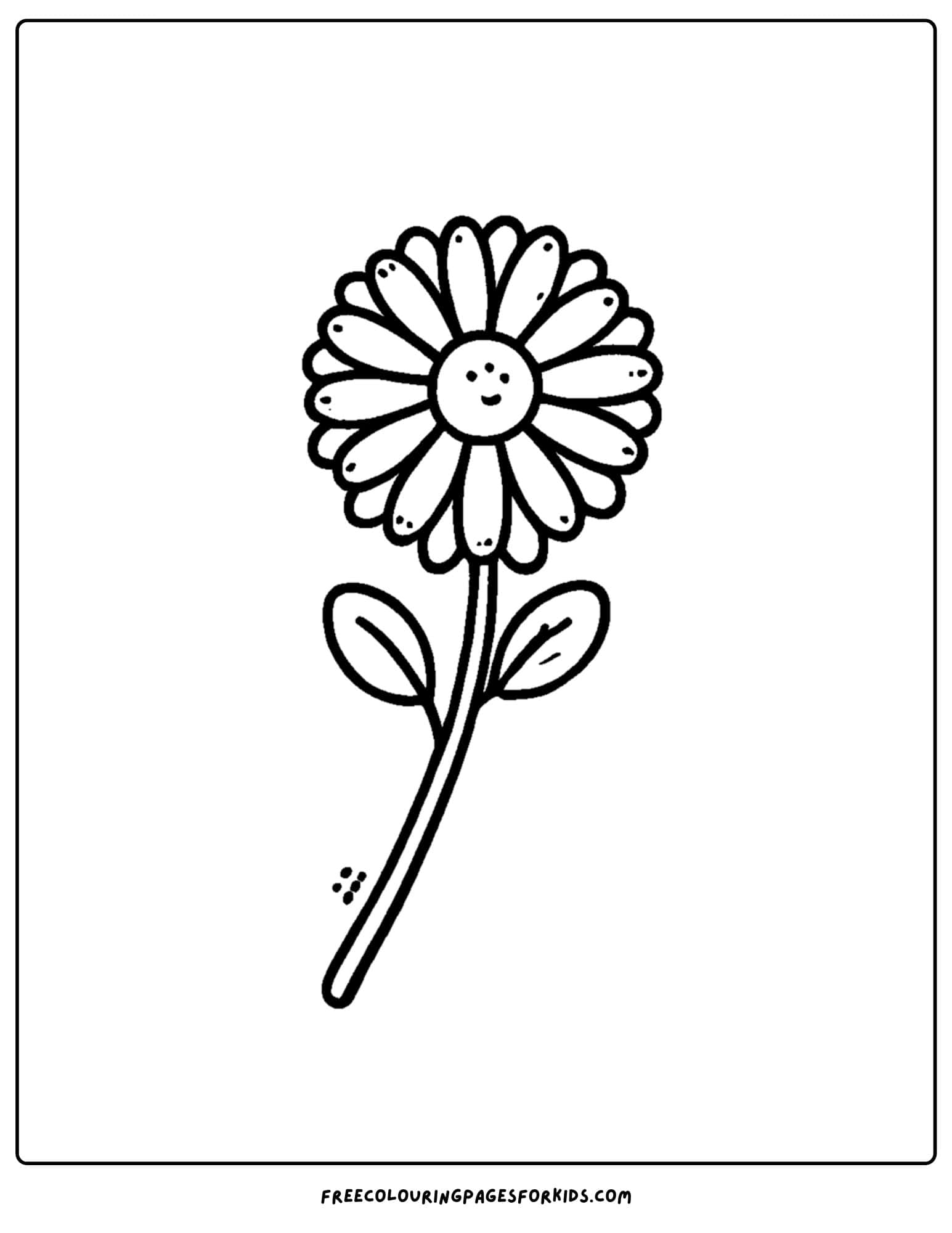 a single daisy