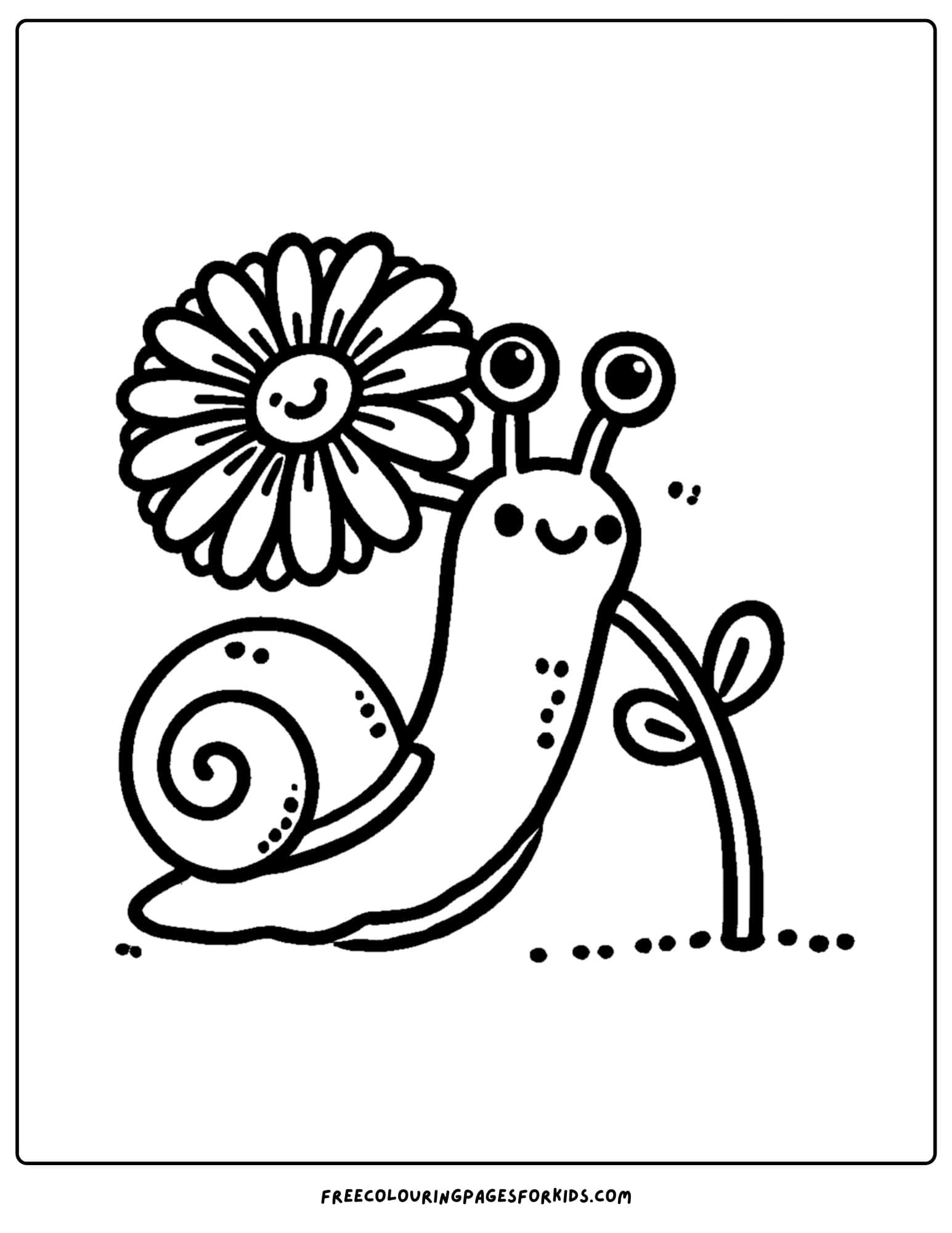 a daisy with a snail crawling past