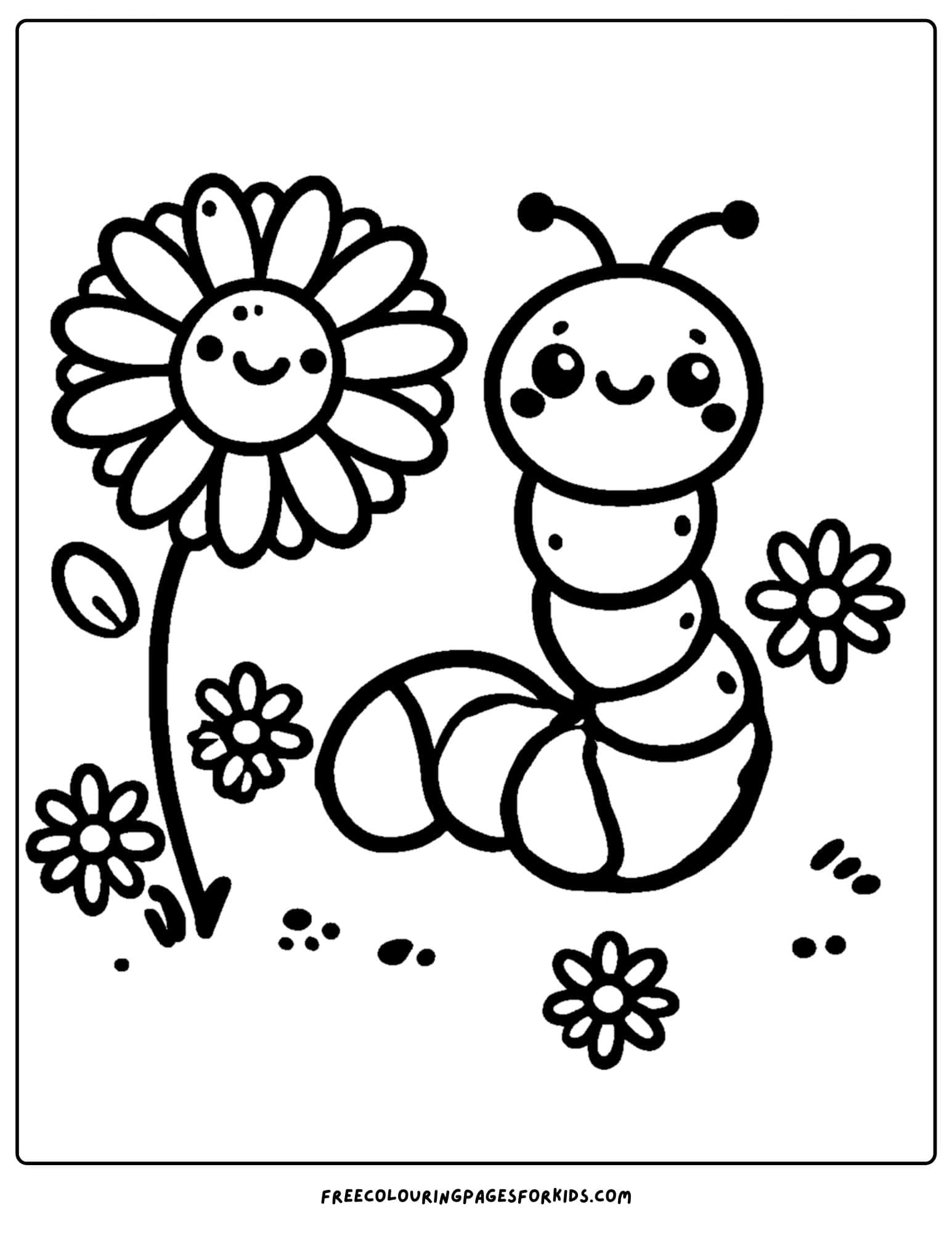 a daisy and a worm