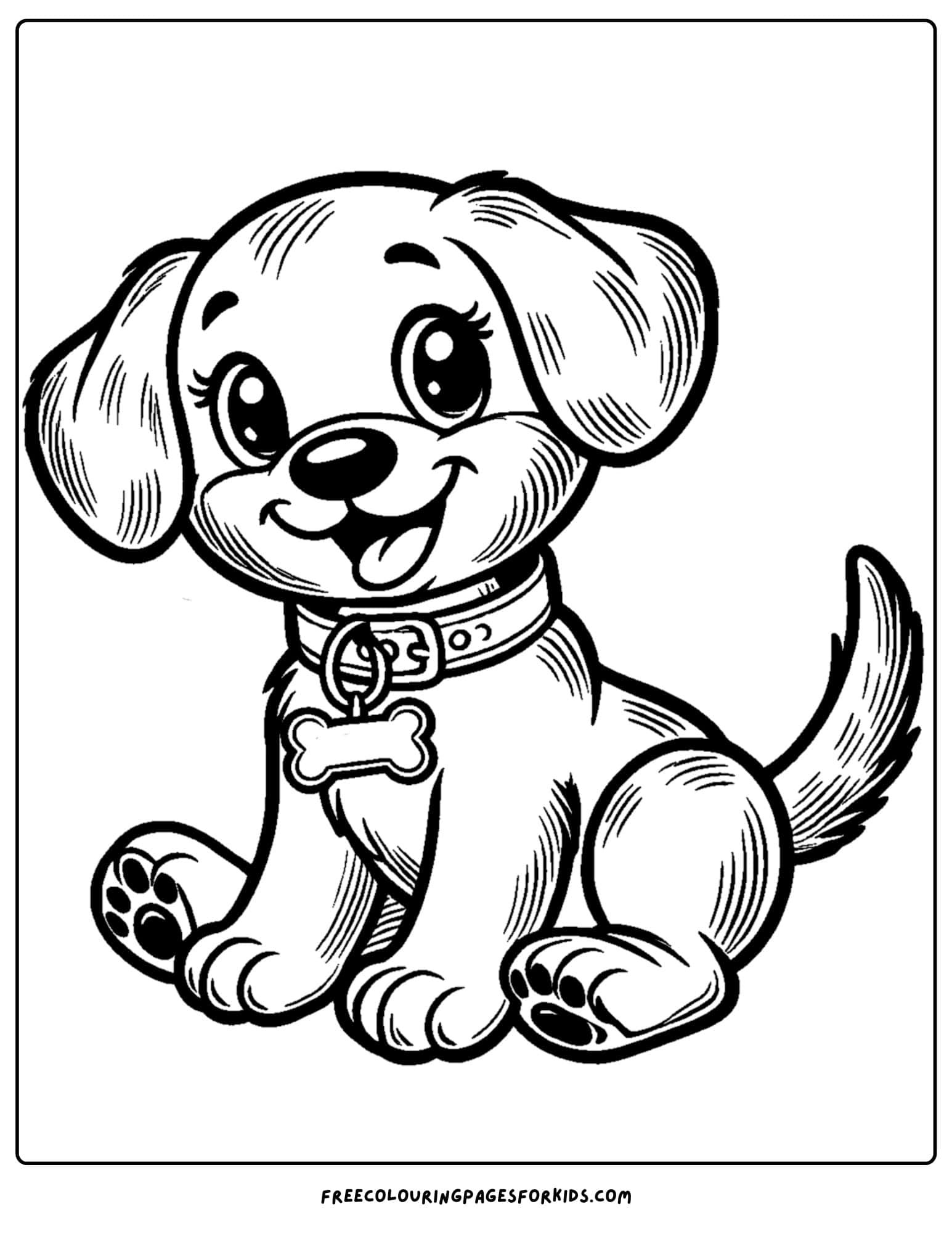 a dog wearing a collar