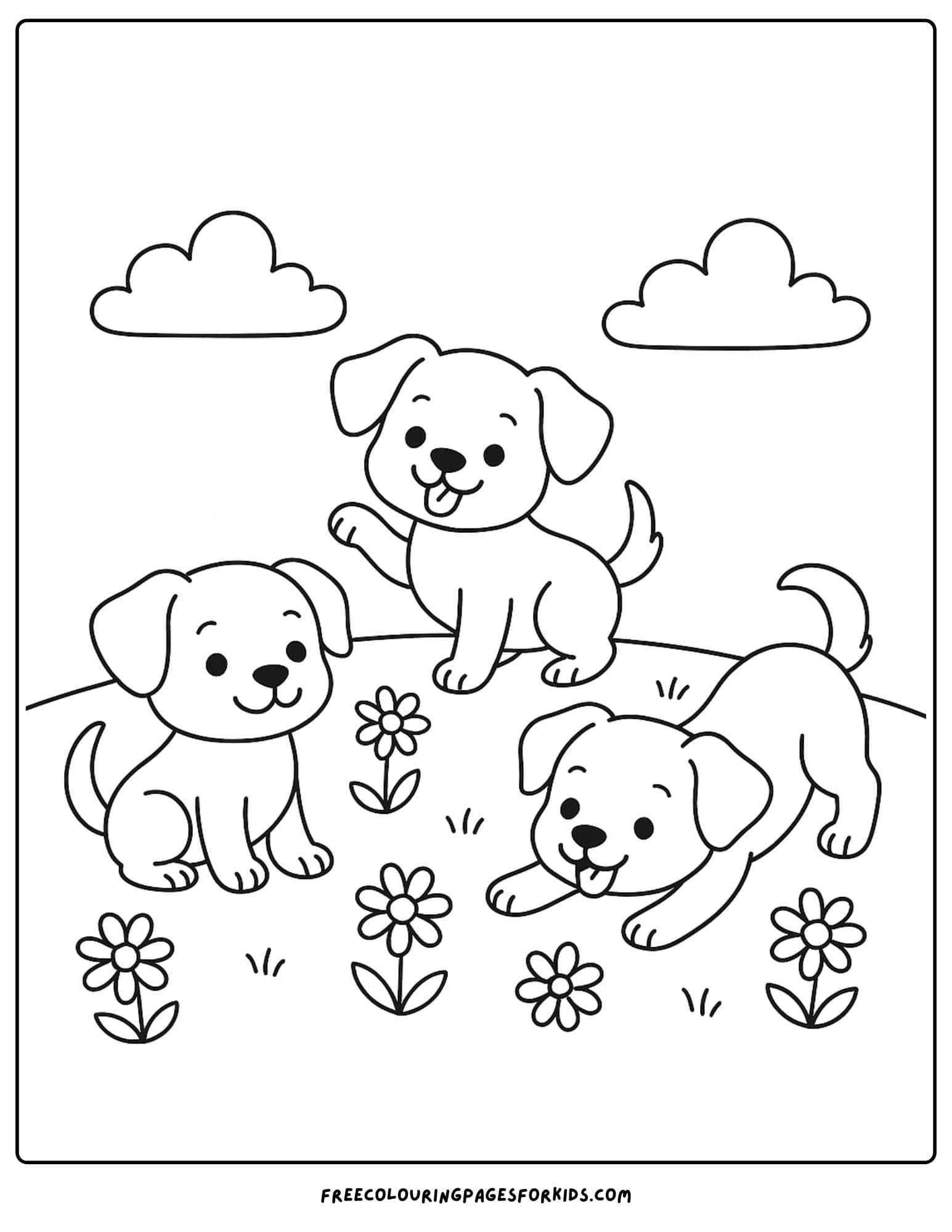 puppies playing in a field of daisies