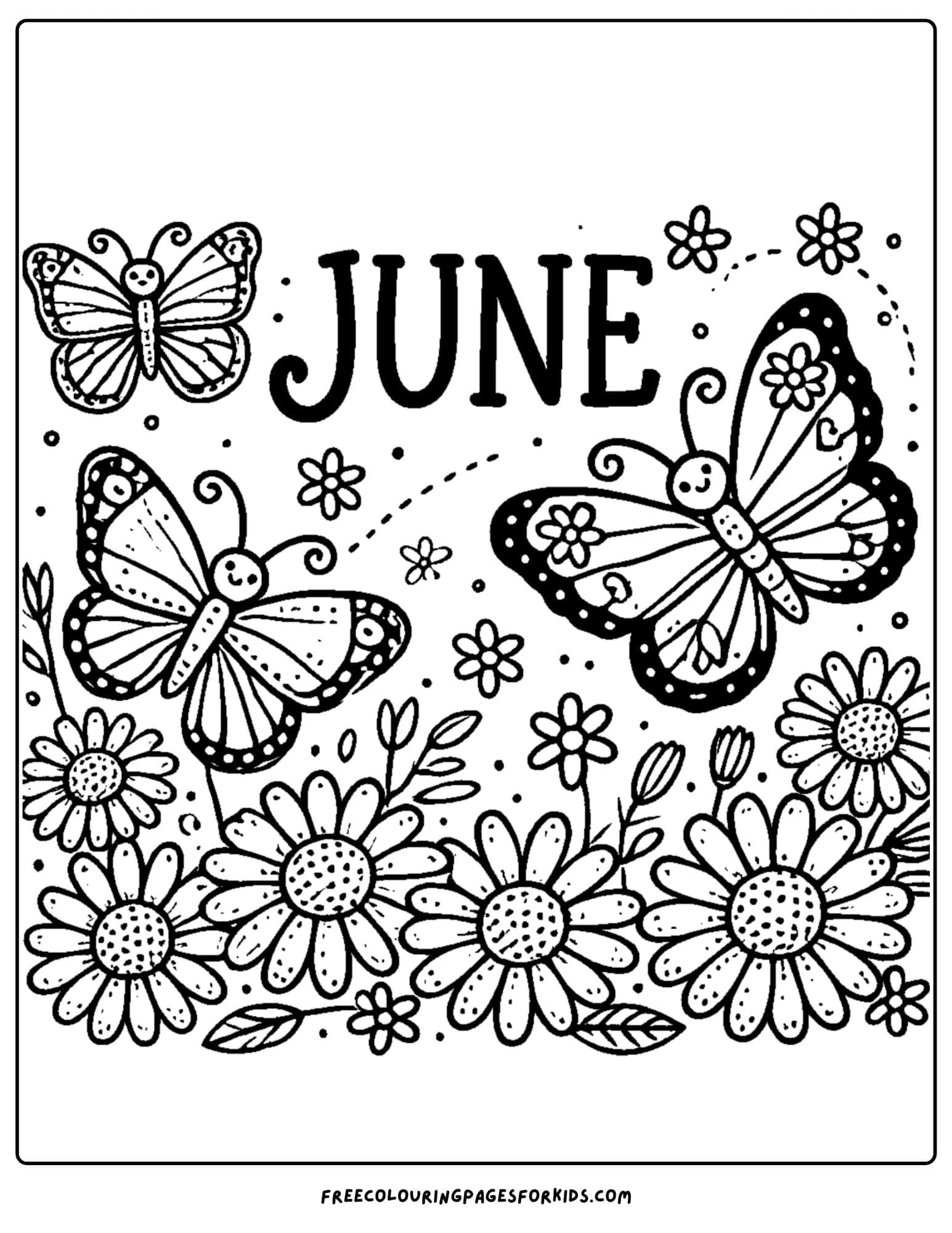 butterflies and flowers