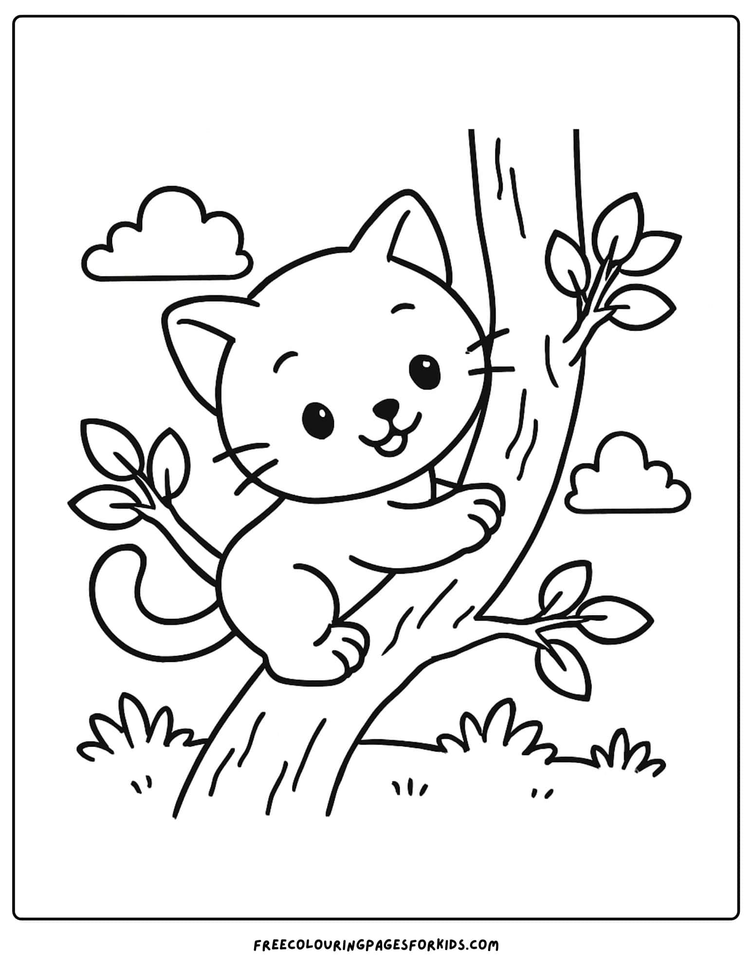 a kitten climbing a tree branch