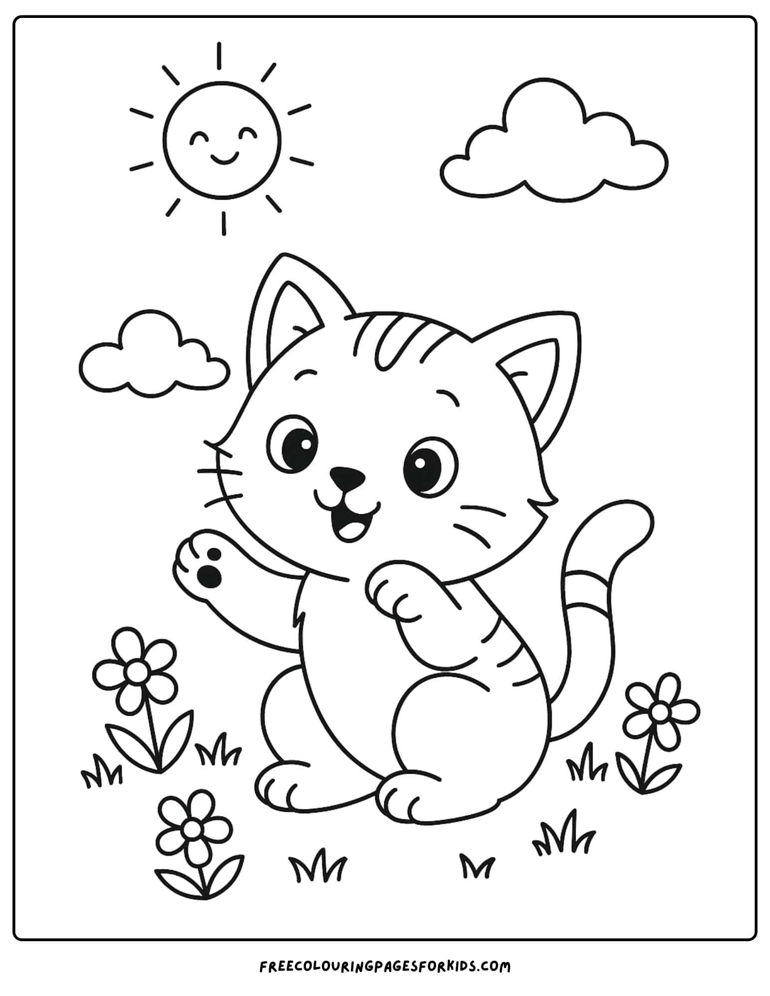 a kitten in a meadow