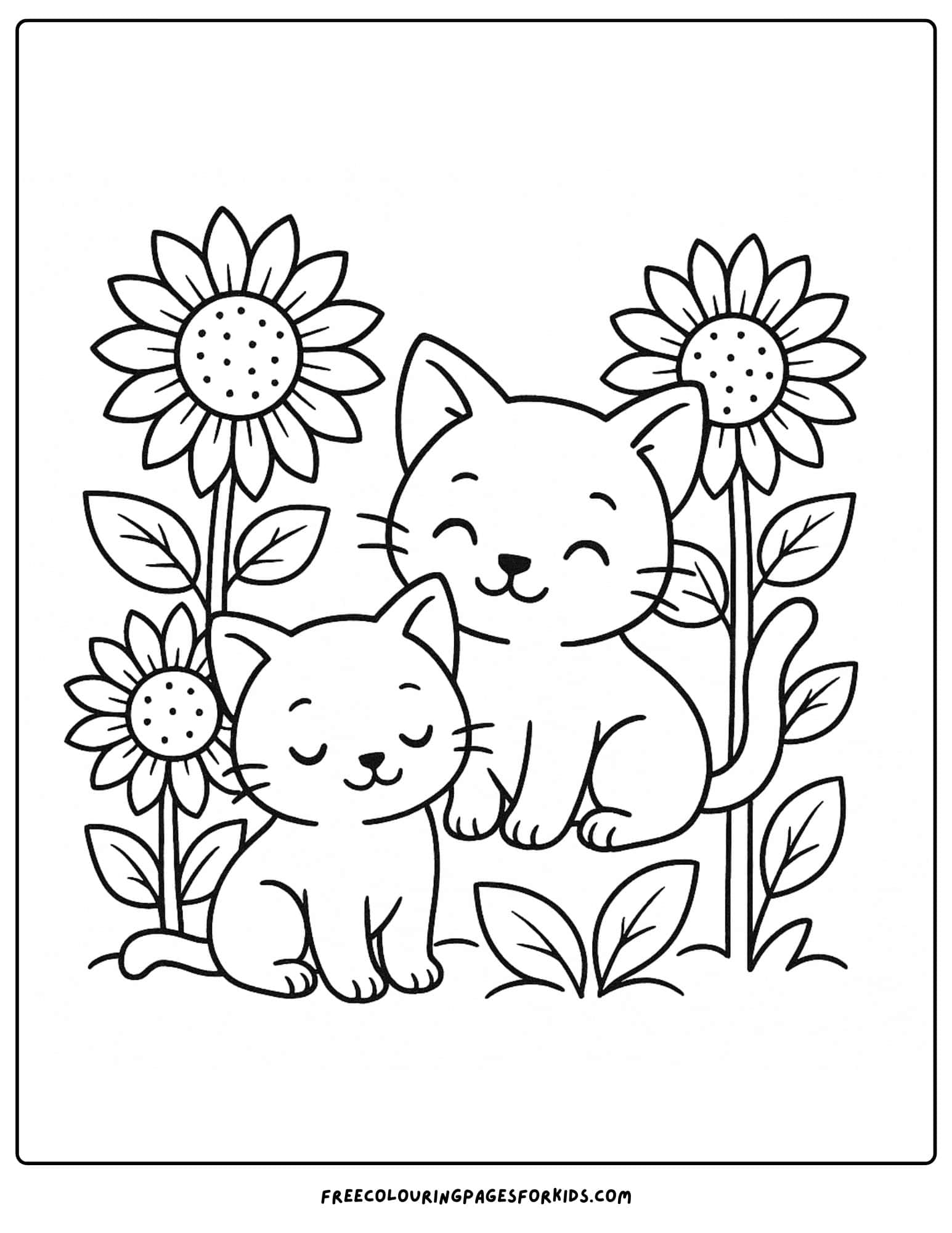 kittens amongst the sunflowers