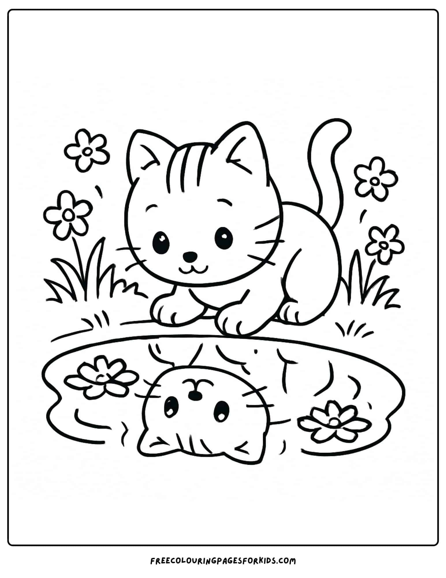 a kitten looking at its reflection in a pond