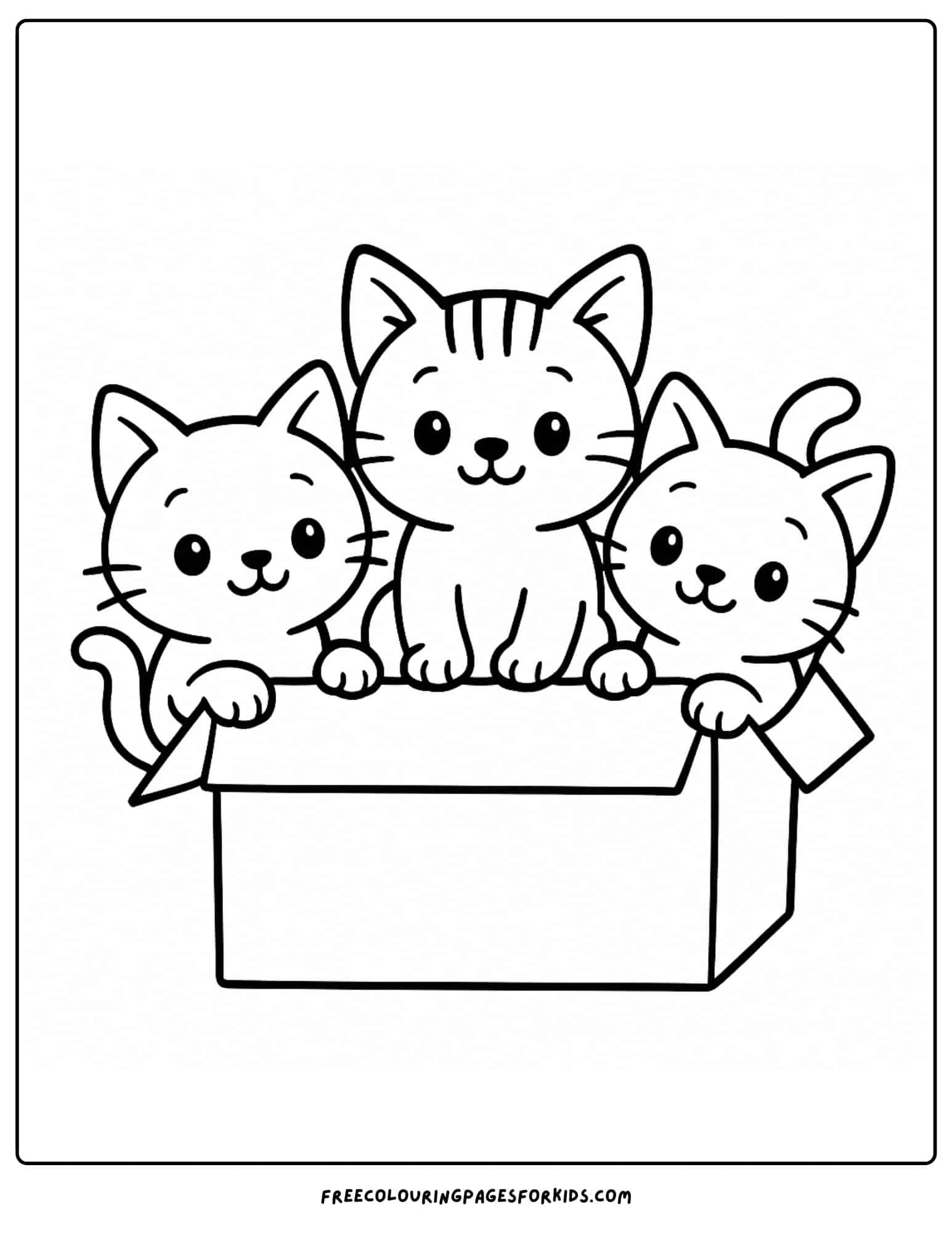 kittens popping out of a cardboard box