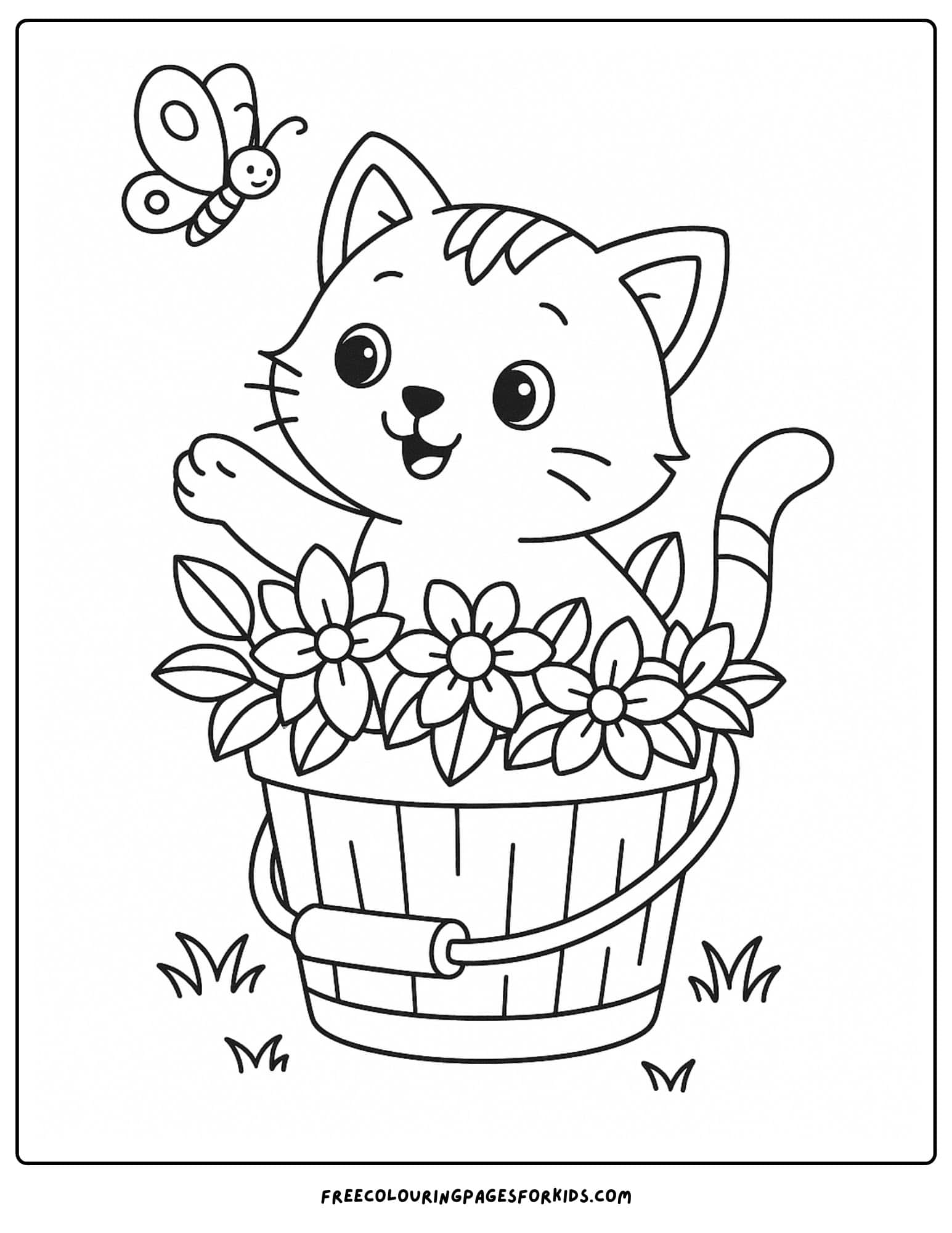 a kitten sitting in a bucket