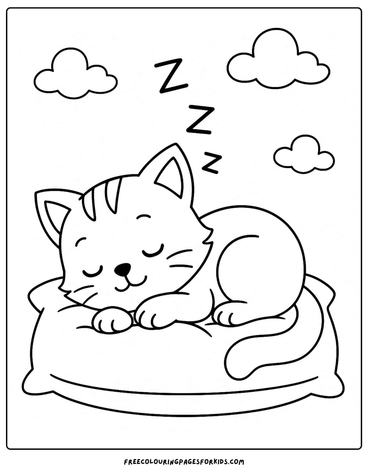 a kitten sleeping on a pillow