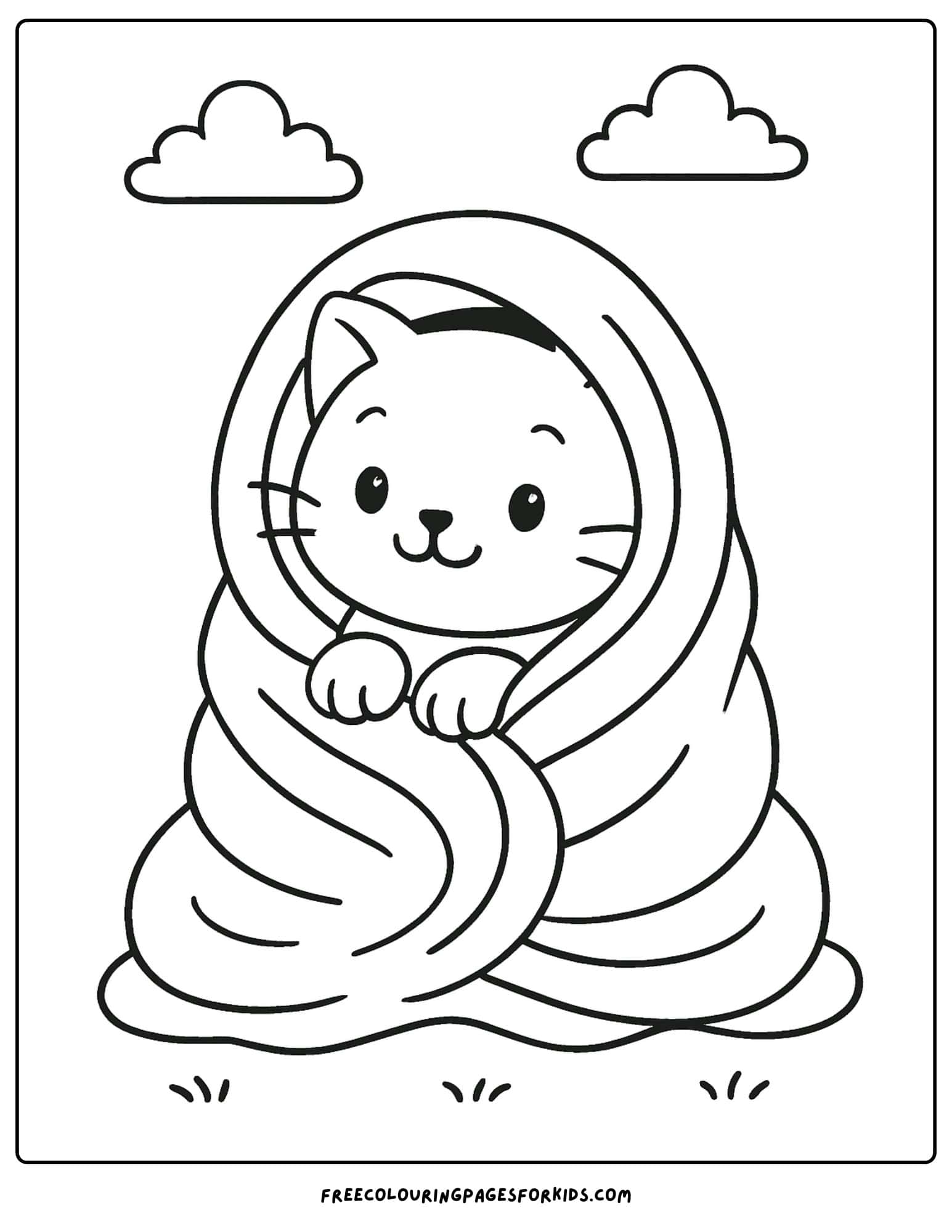 a kitten wrapped in a blanket