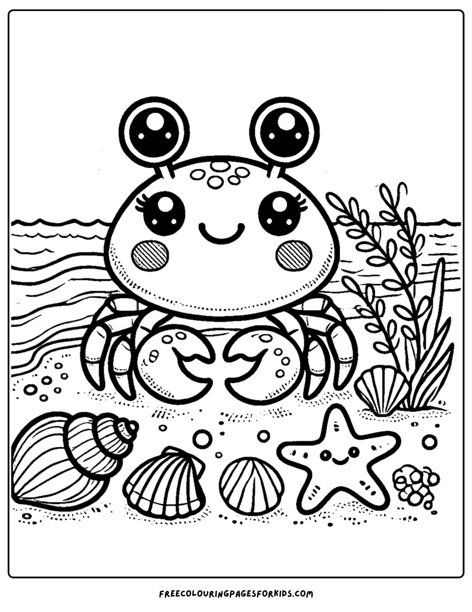 a crab on the beach
