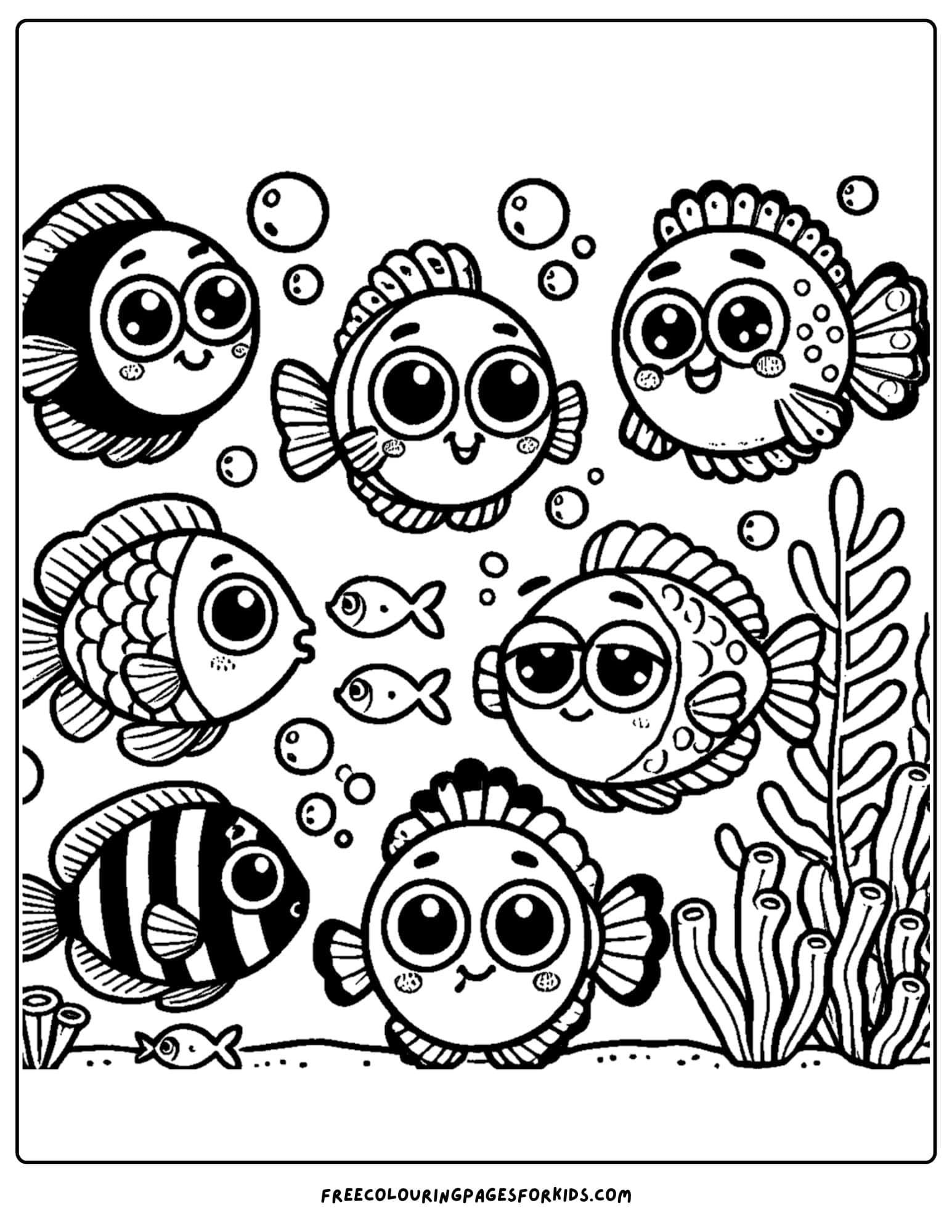 fish making funny faces