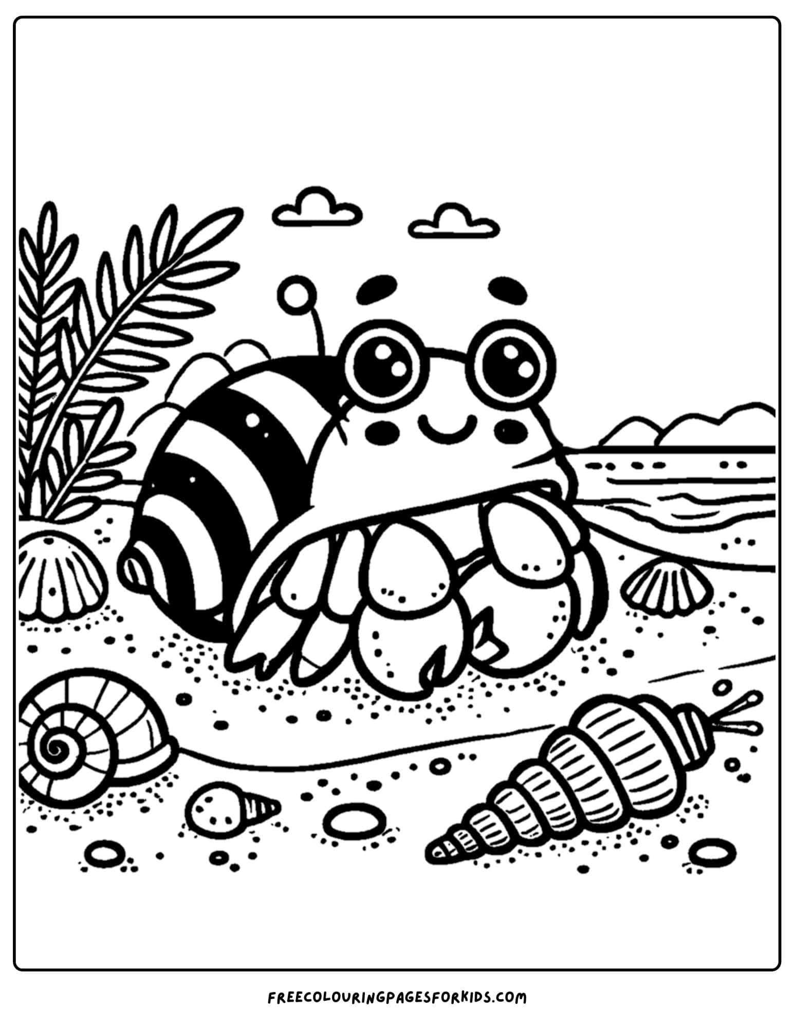 a hermit crab on the beach