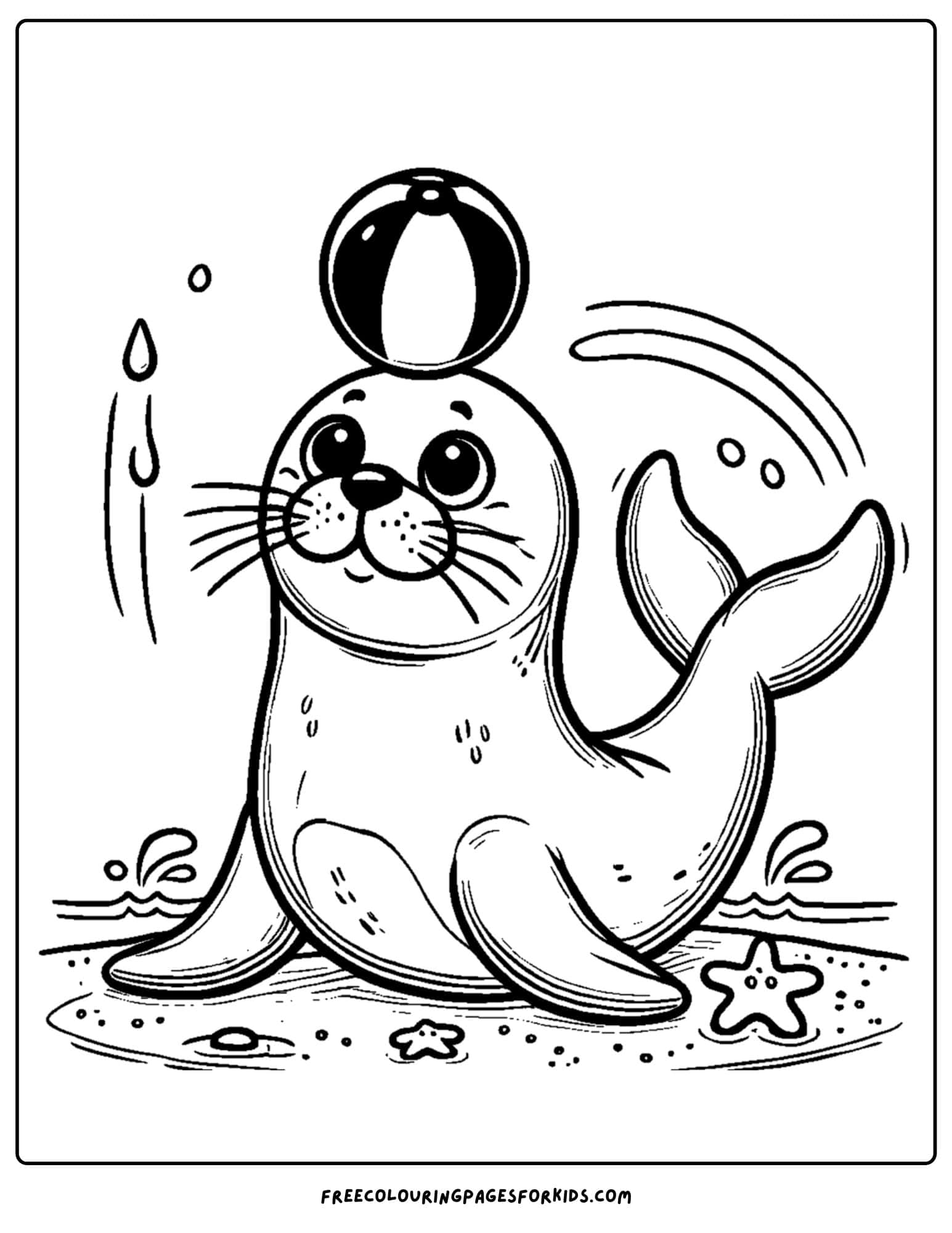 a seal balancing a ball on its nose