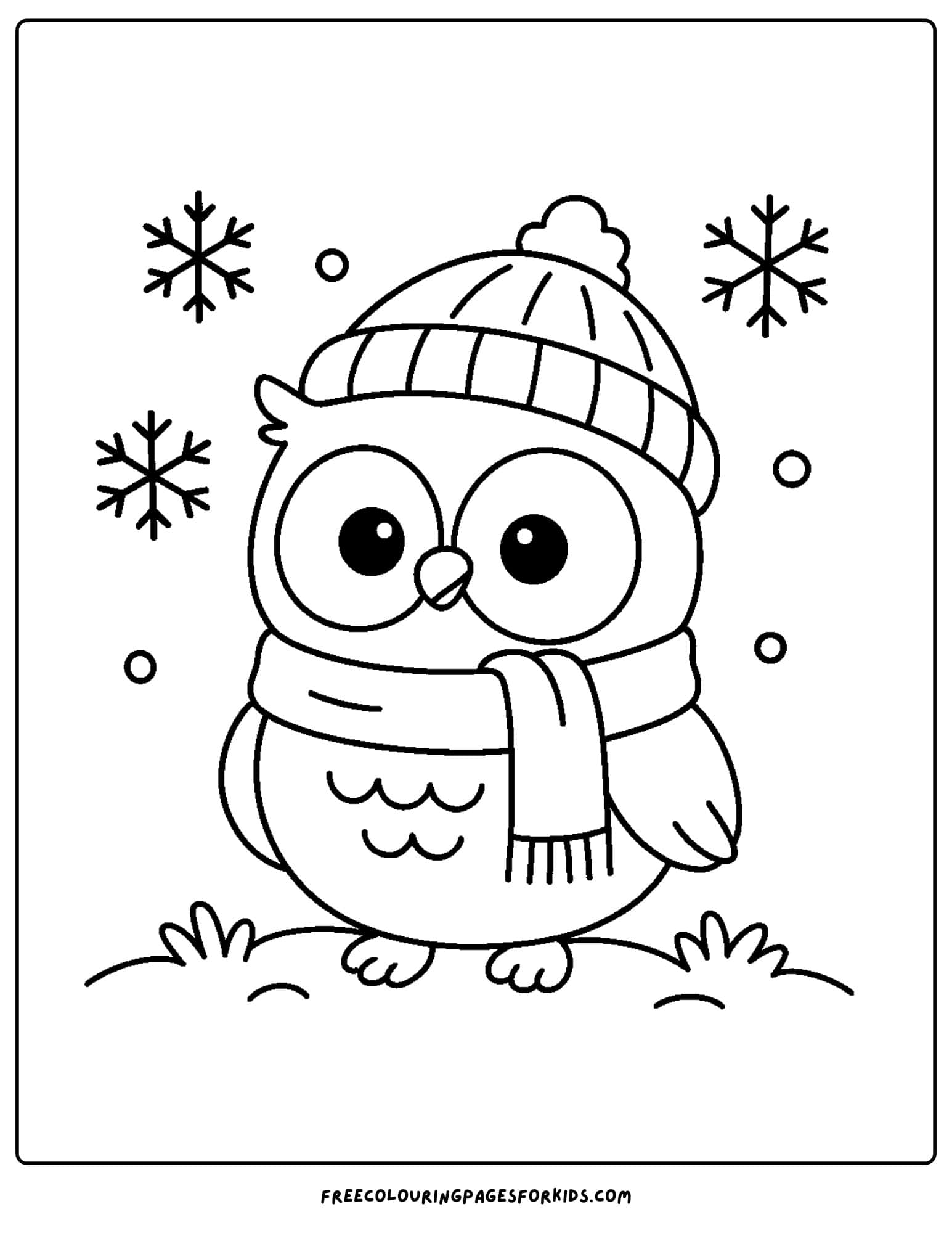 an owl wearing a scarf in the cold