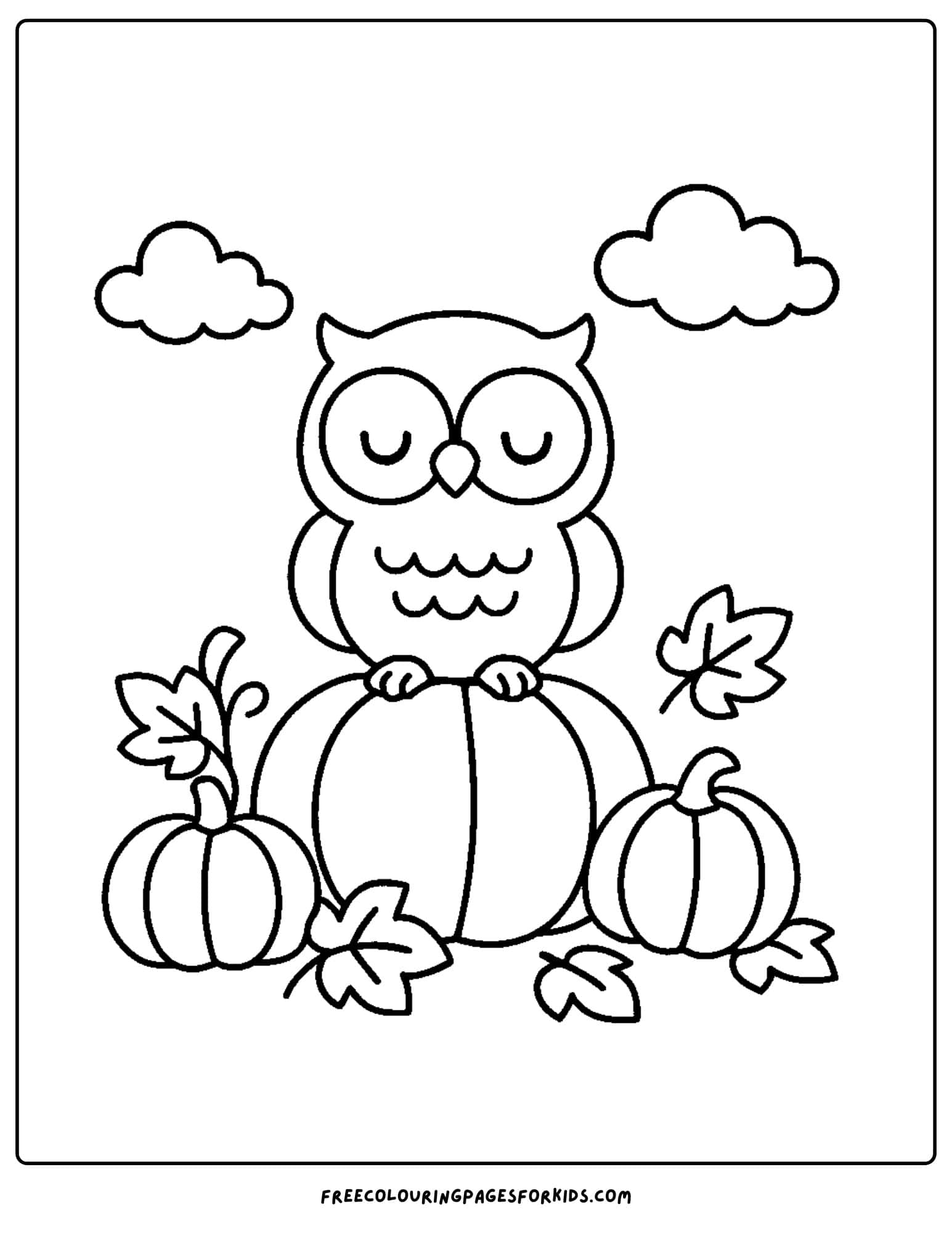 an owl in a pumpkin patch