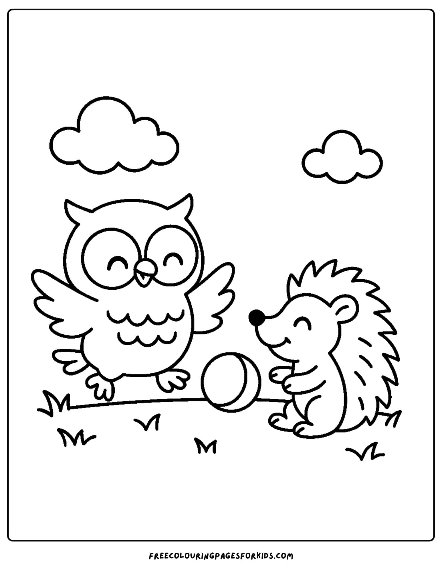 an owl playing with a hedgehog