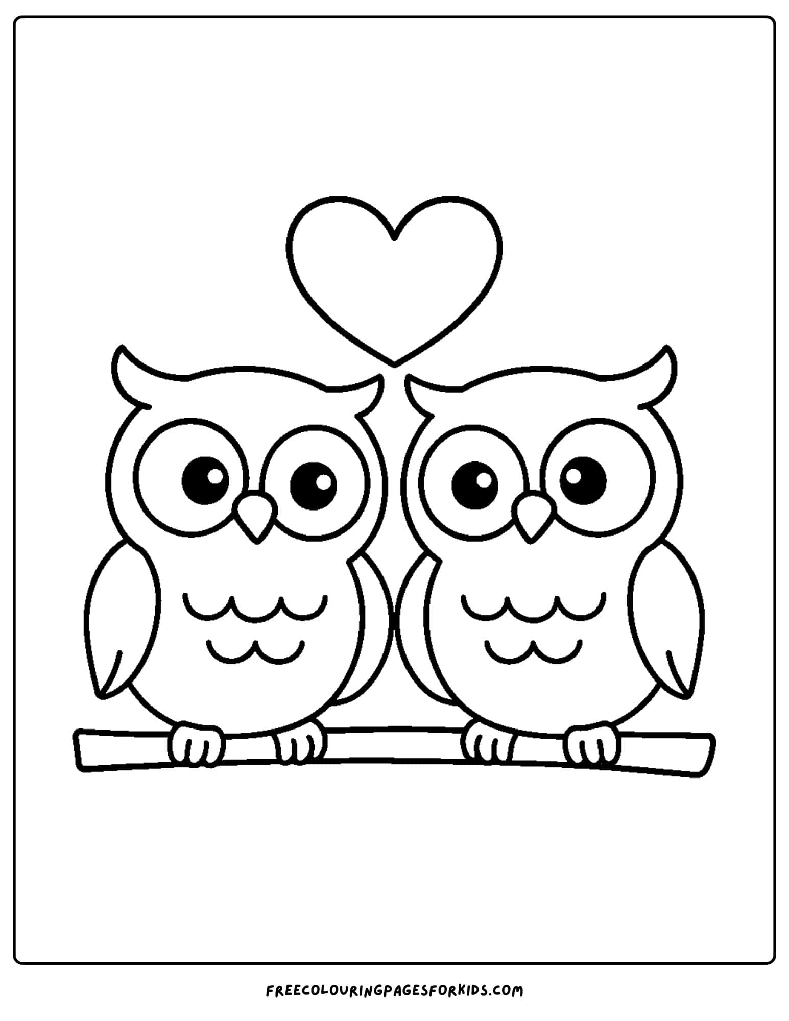 two owls in love