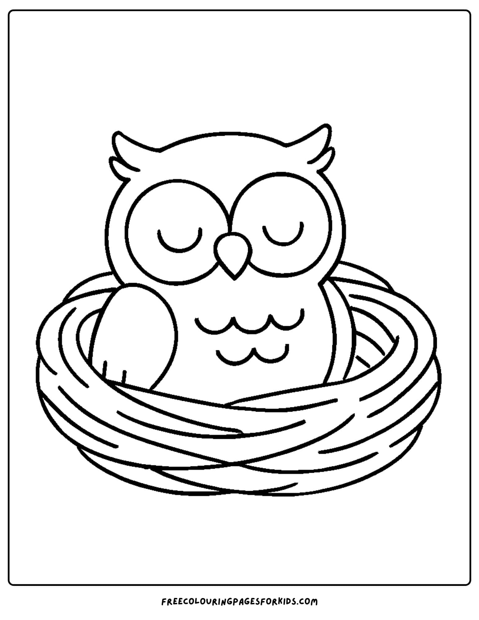 an owl in a nest