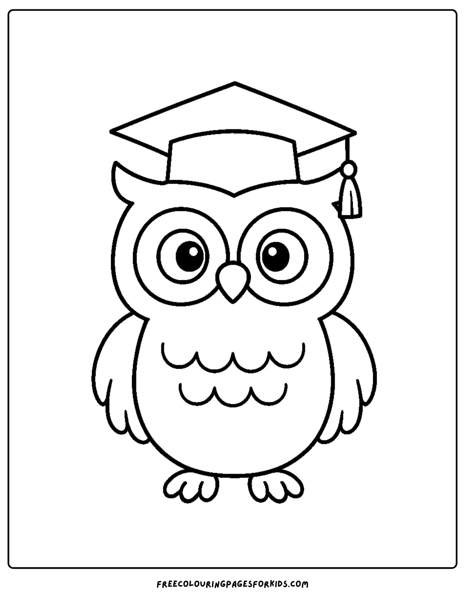 an owl wearing a cap