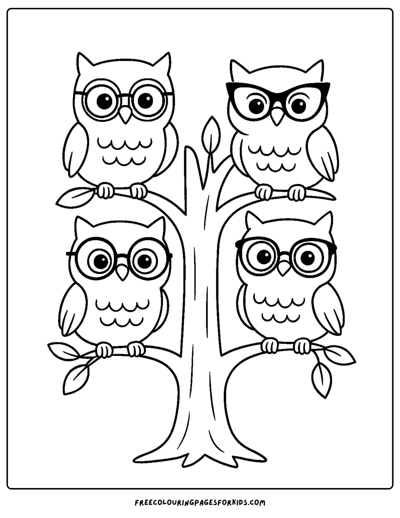 owls wearing silly glasses