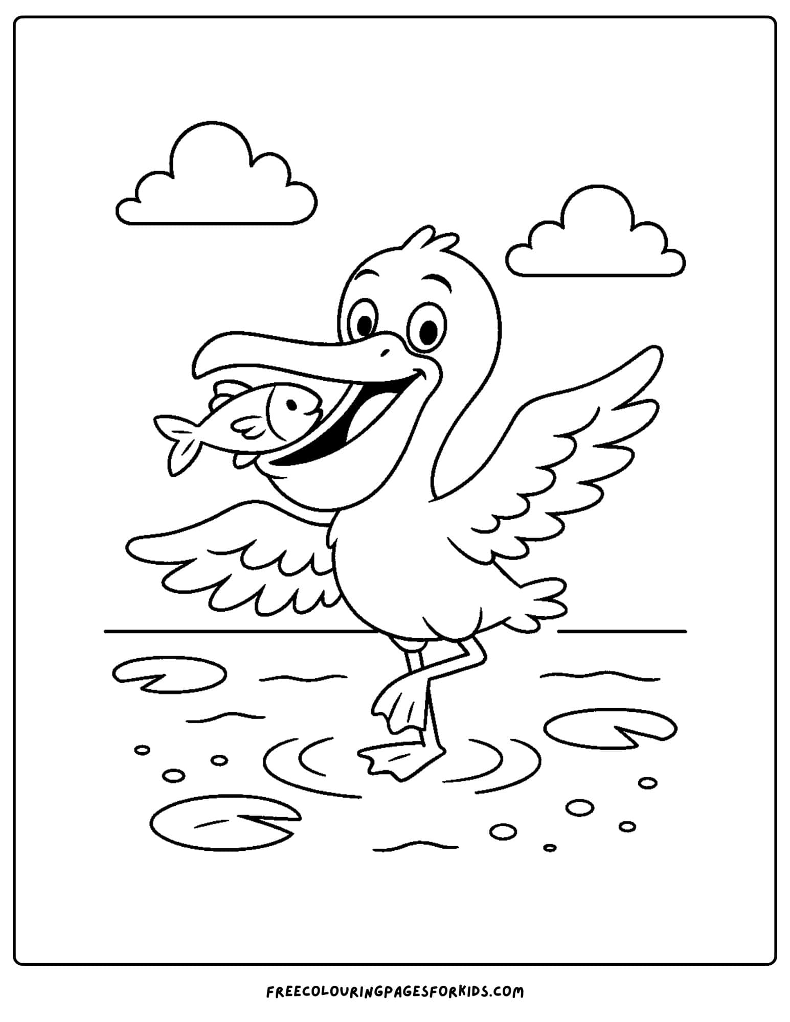 a pelican catching a fish