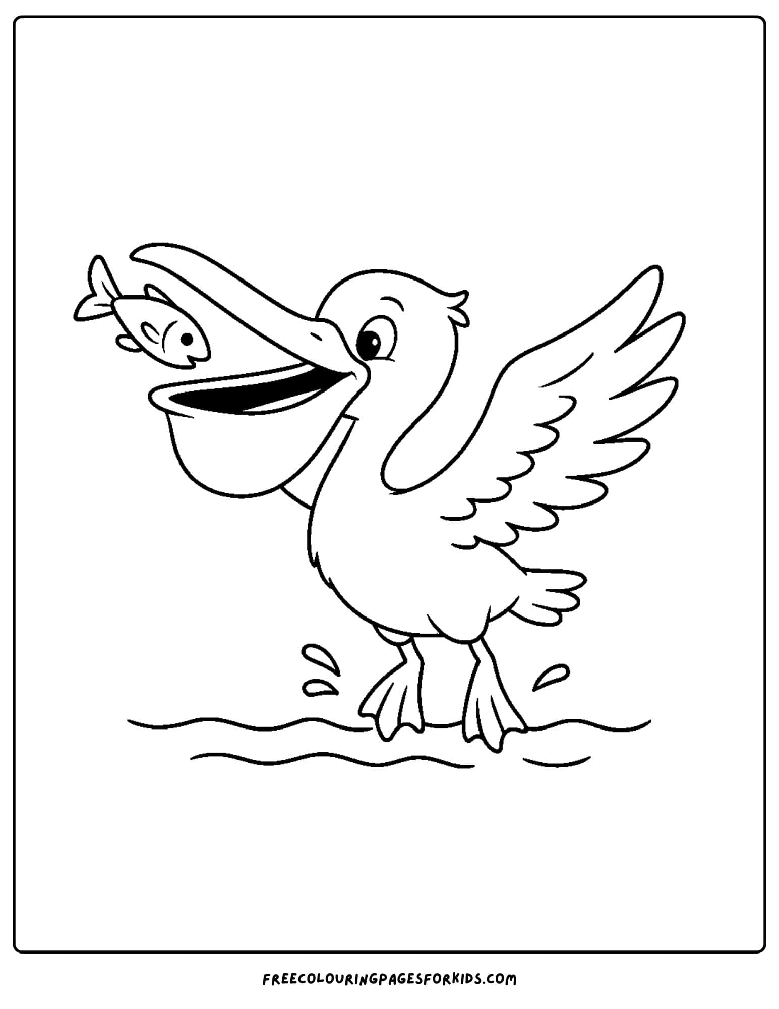 a pelican catching a fish