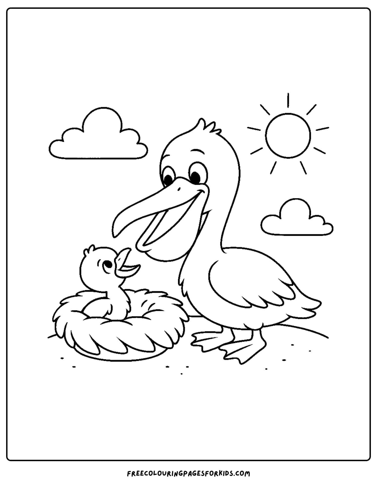 a pelican and a baby in a nest