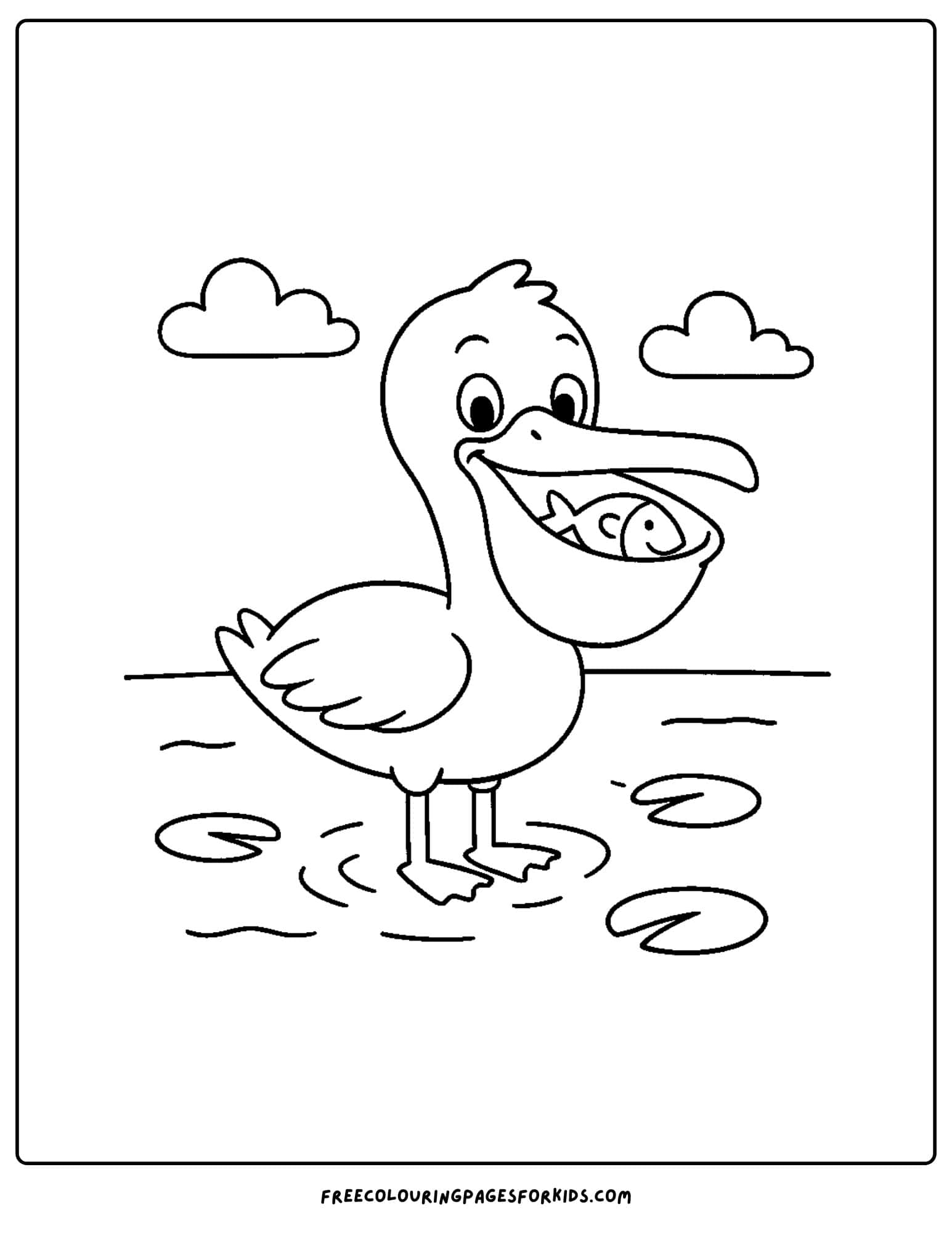 a pelican in shallow water catching fish