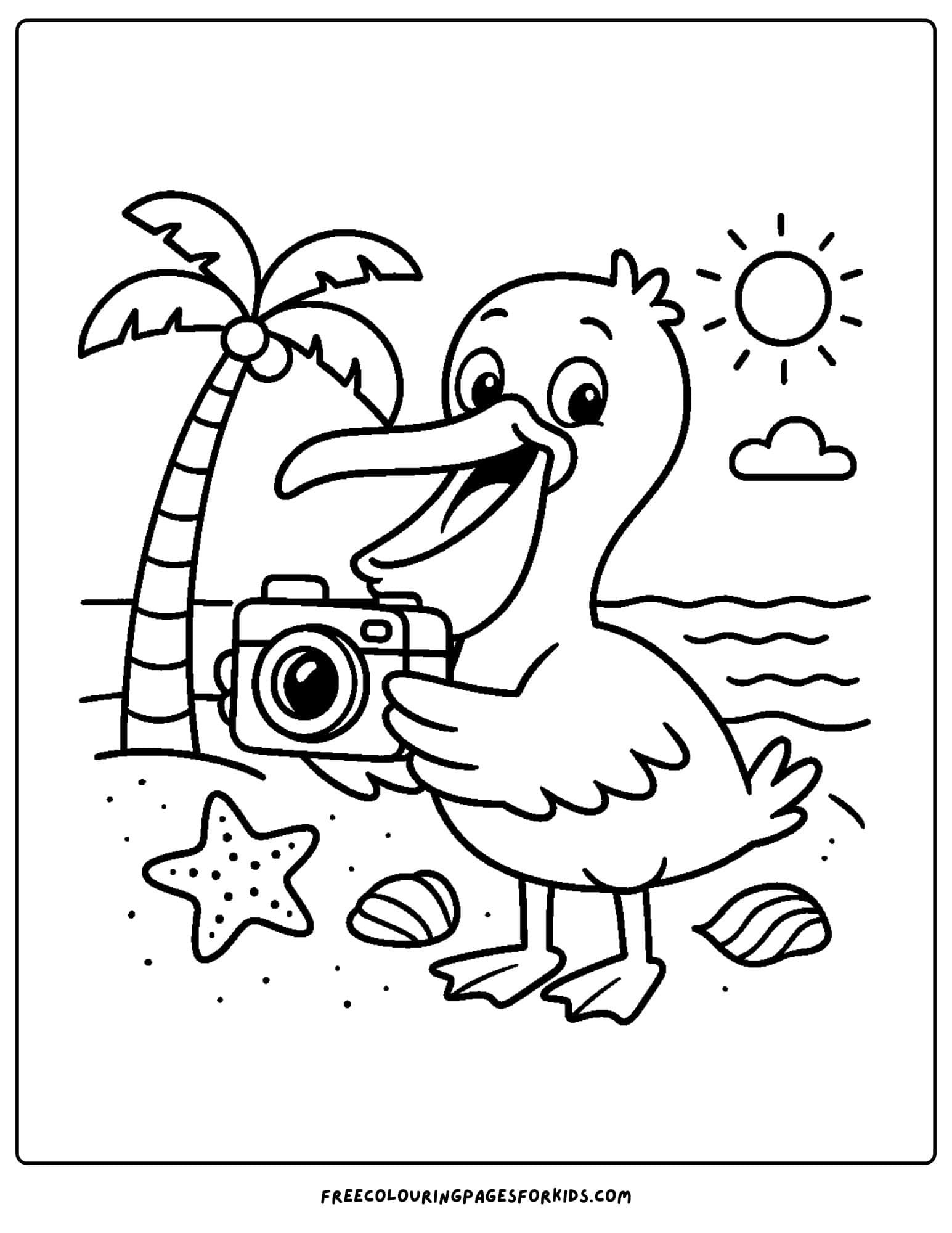 a pelican taking photos at the beach