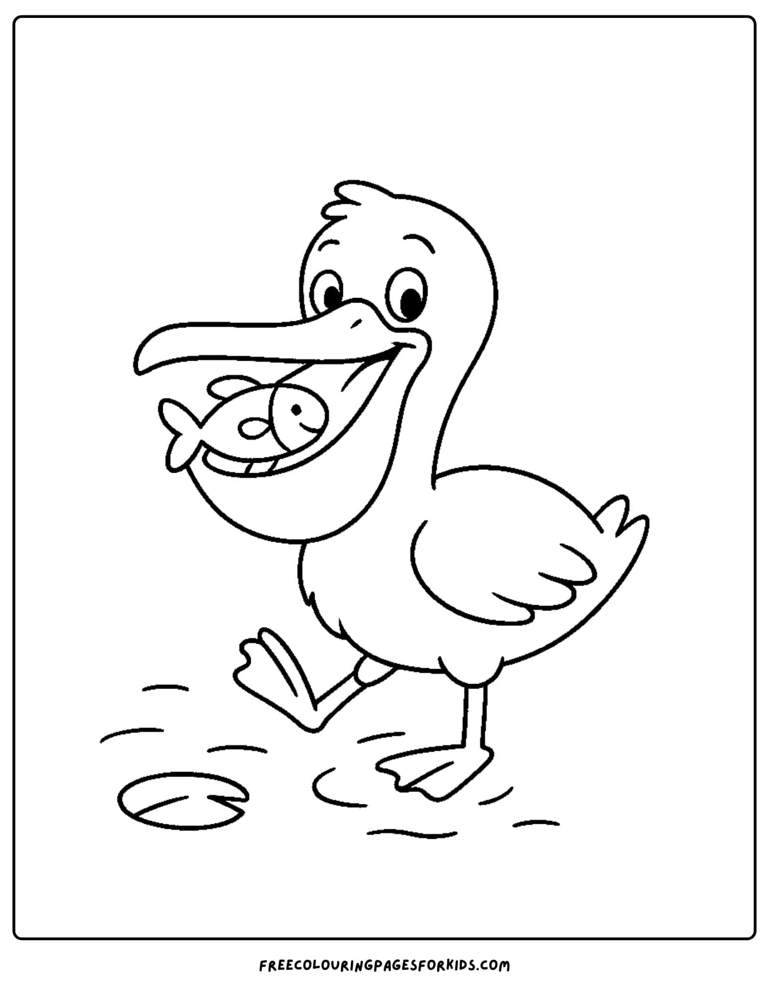 a pelican with a fish in its mouth