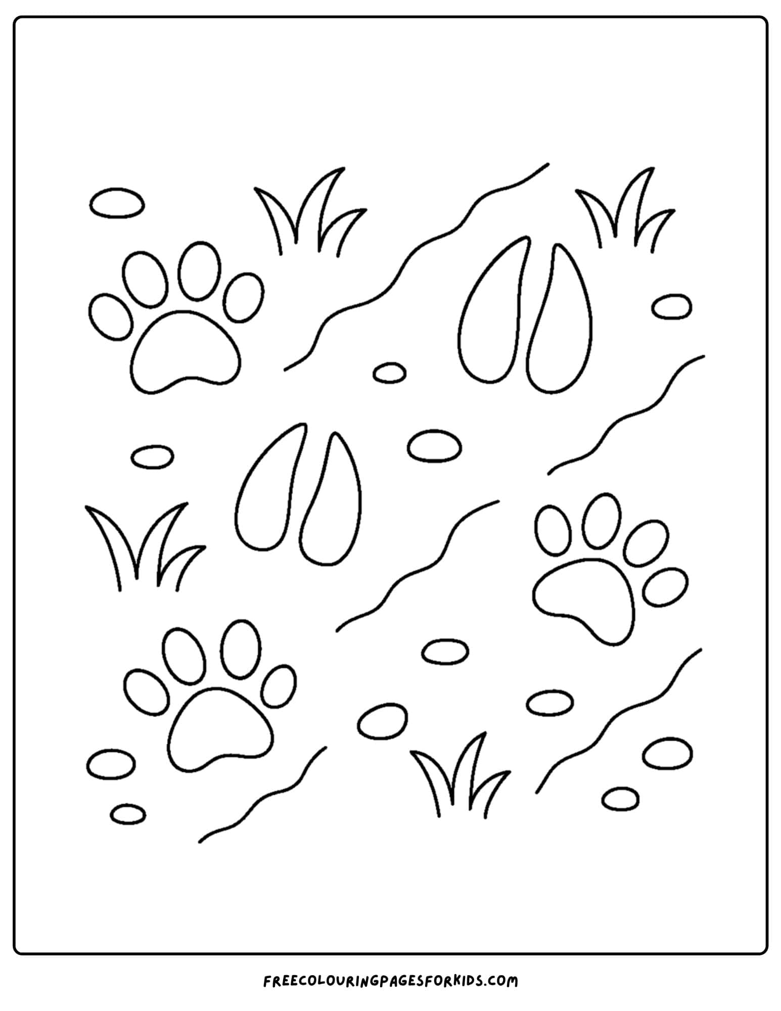 animal tracks in the dirt