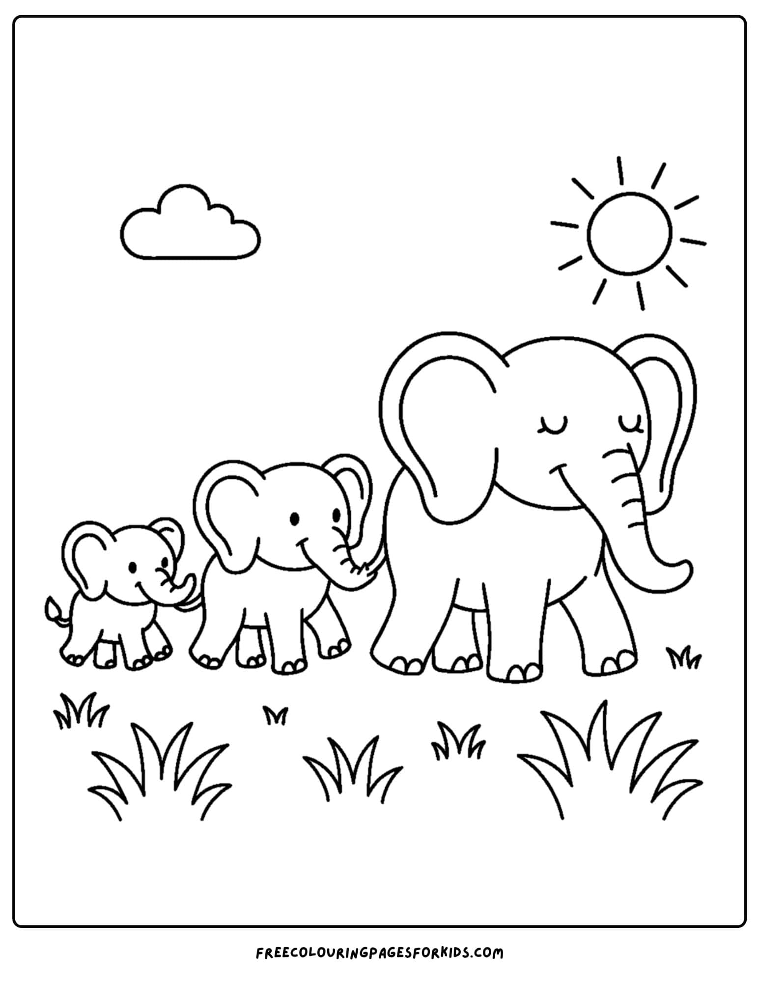an elephant family walking together