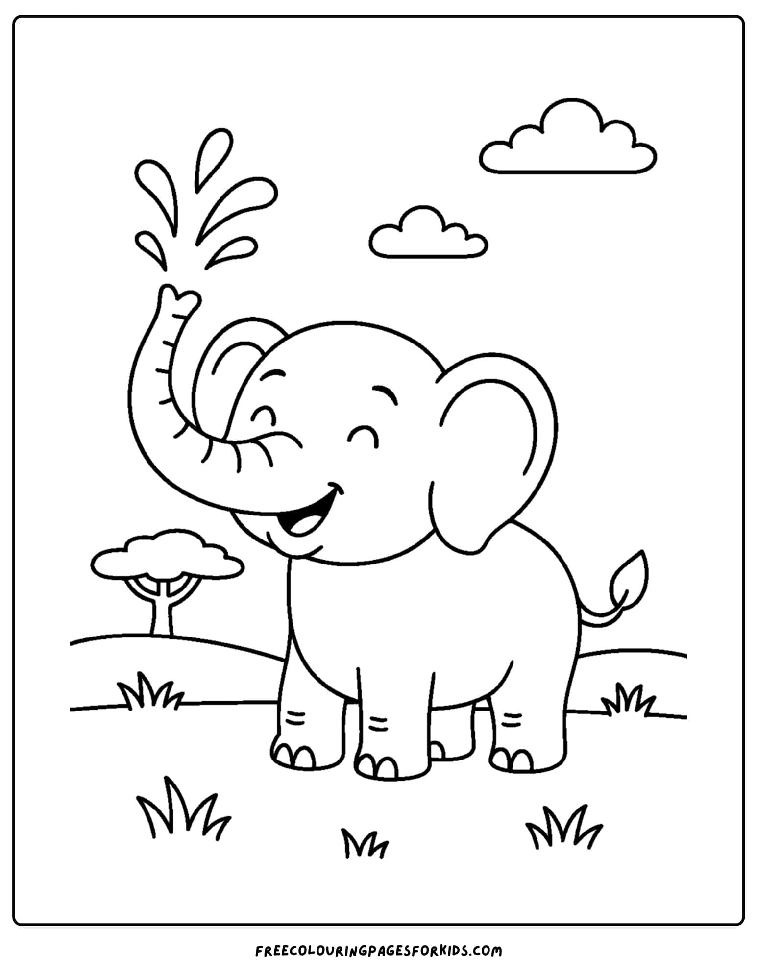 an elephant spraying water