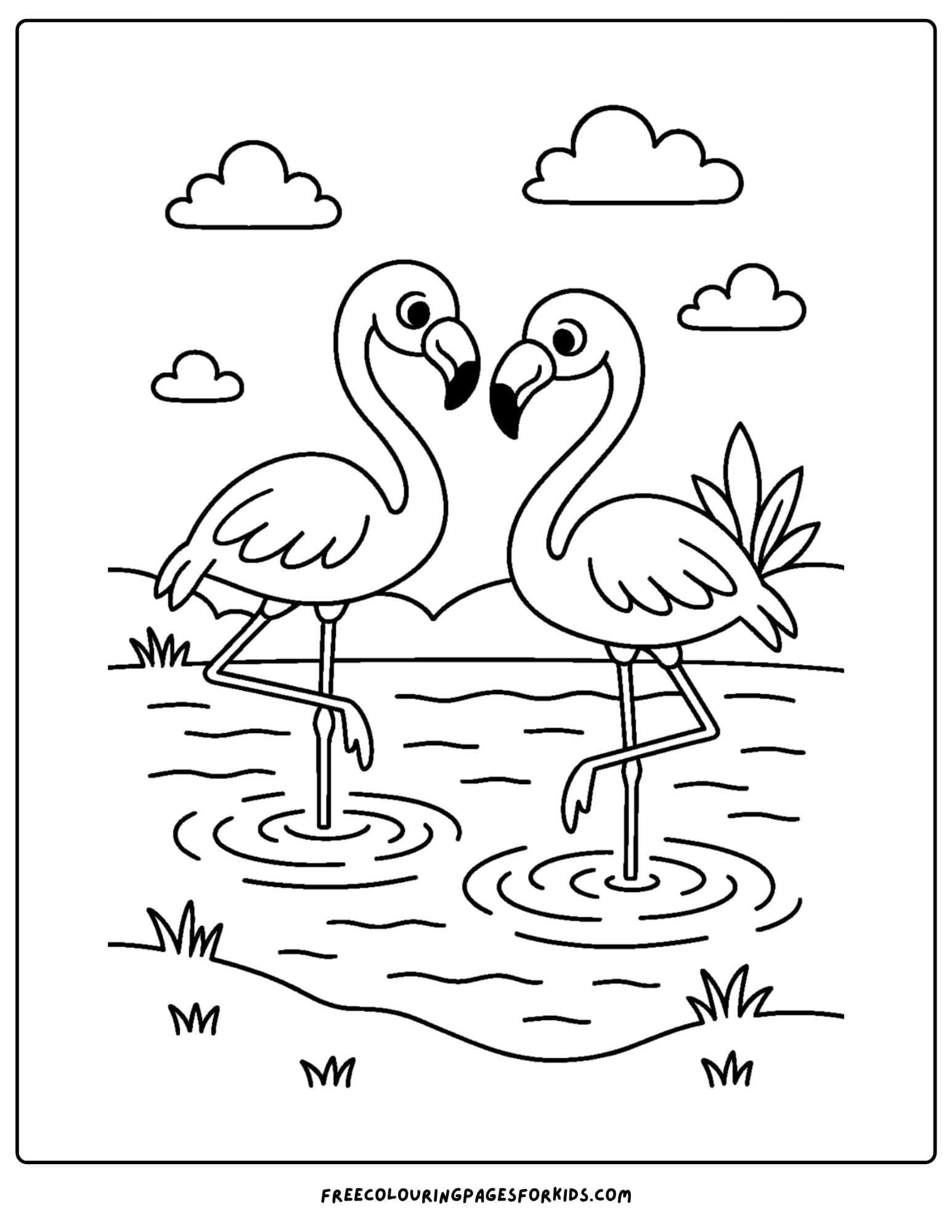 two flamingos in the water
