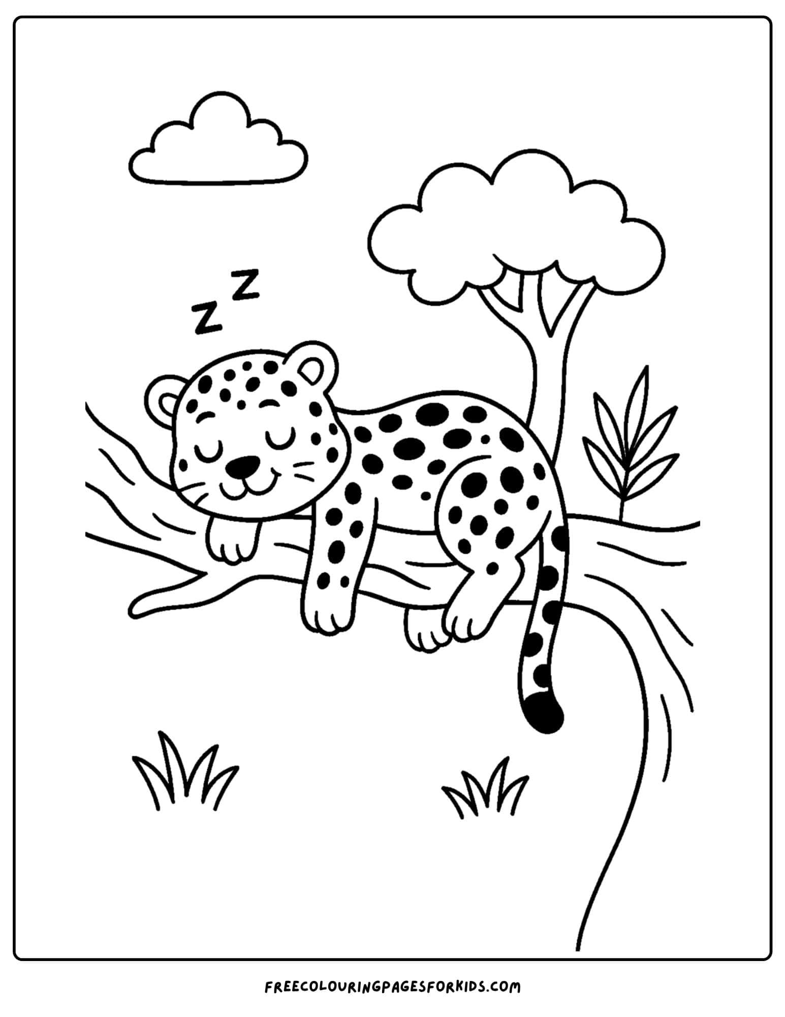 a leopard sleeping on a branch