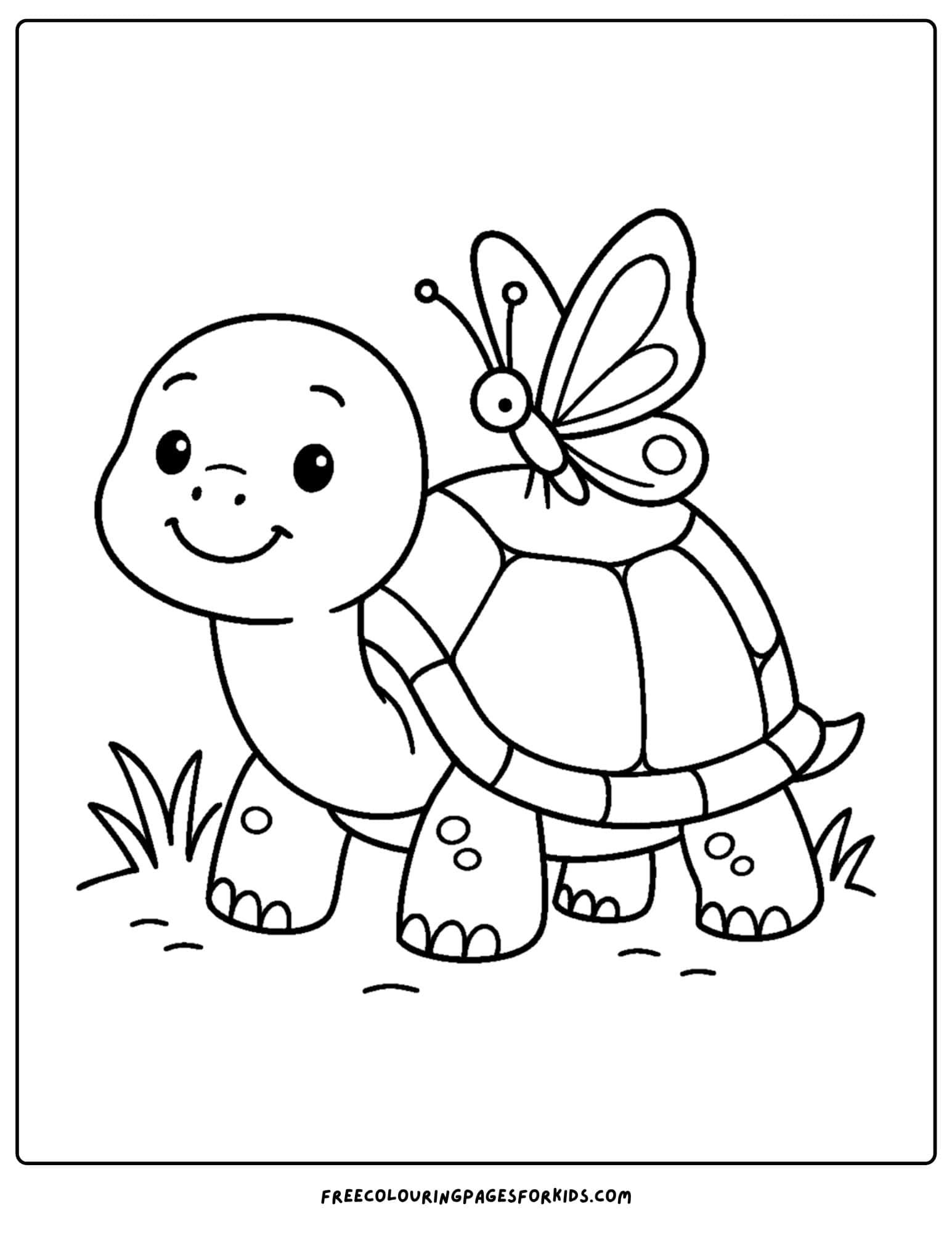 a turtle with a butterfly on its back