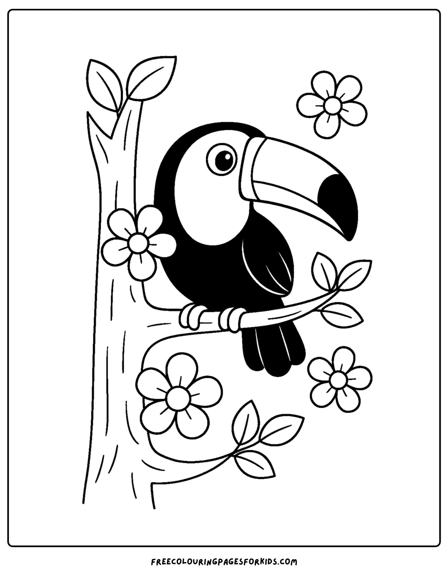 a toucan in a tree