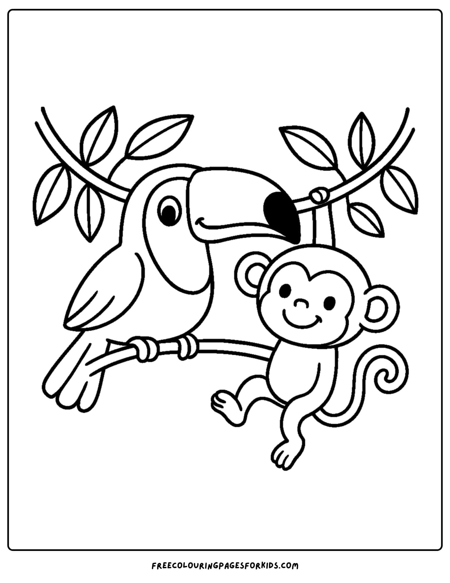 a toucan and a monkey
