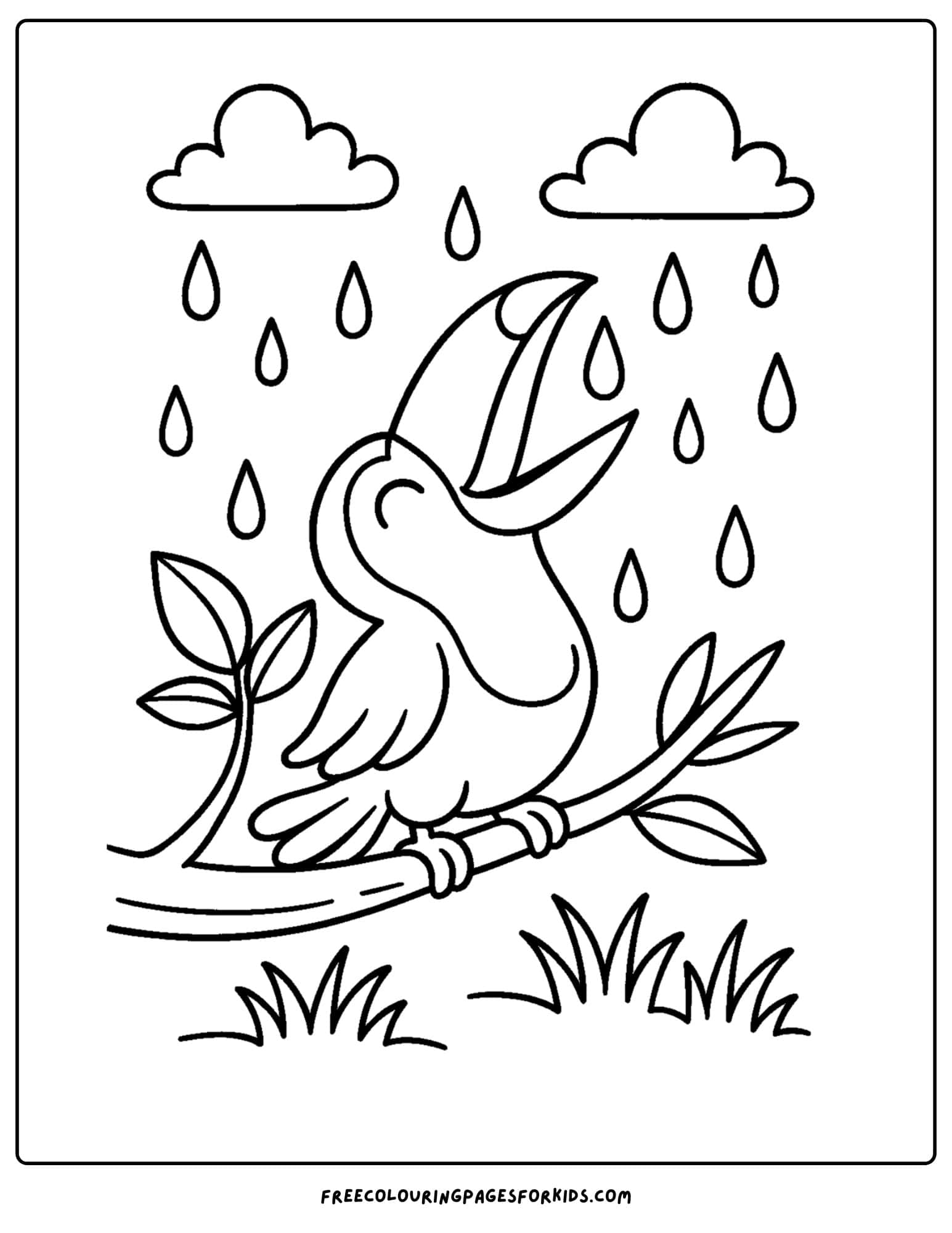 a toucan drinking rain drops