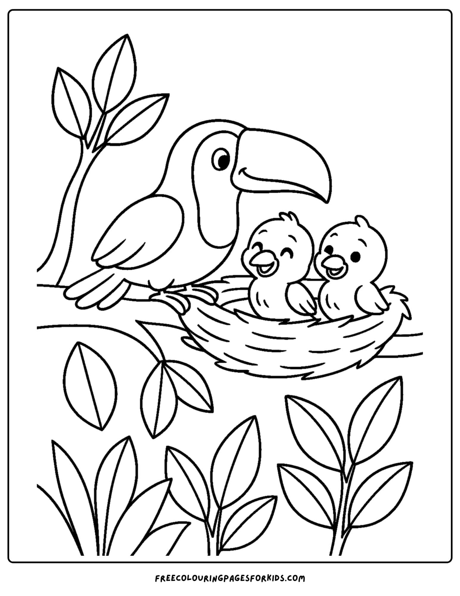 a toucan with its nest and babies
