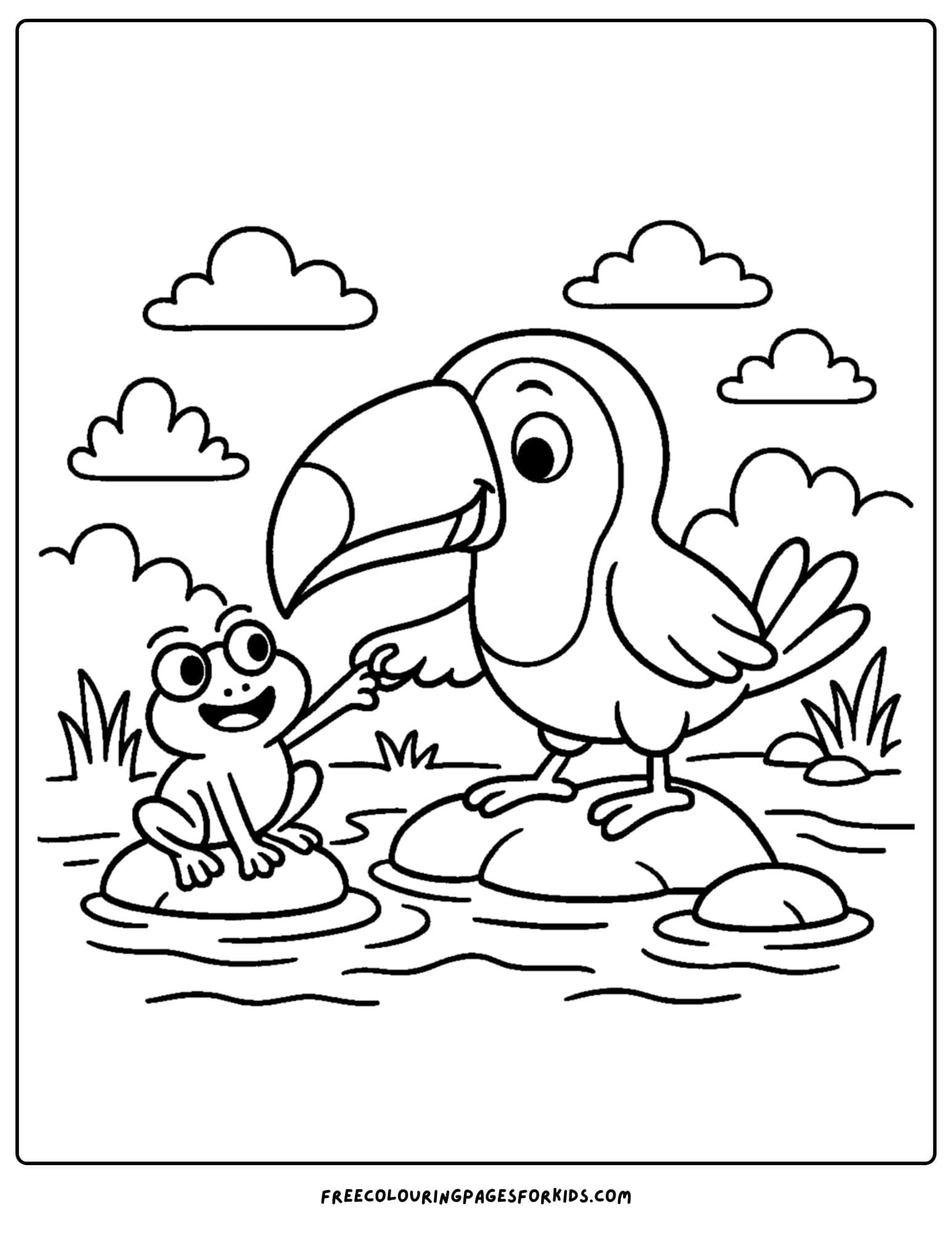 a toucan and a frog