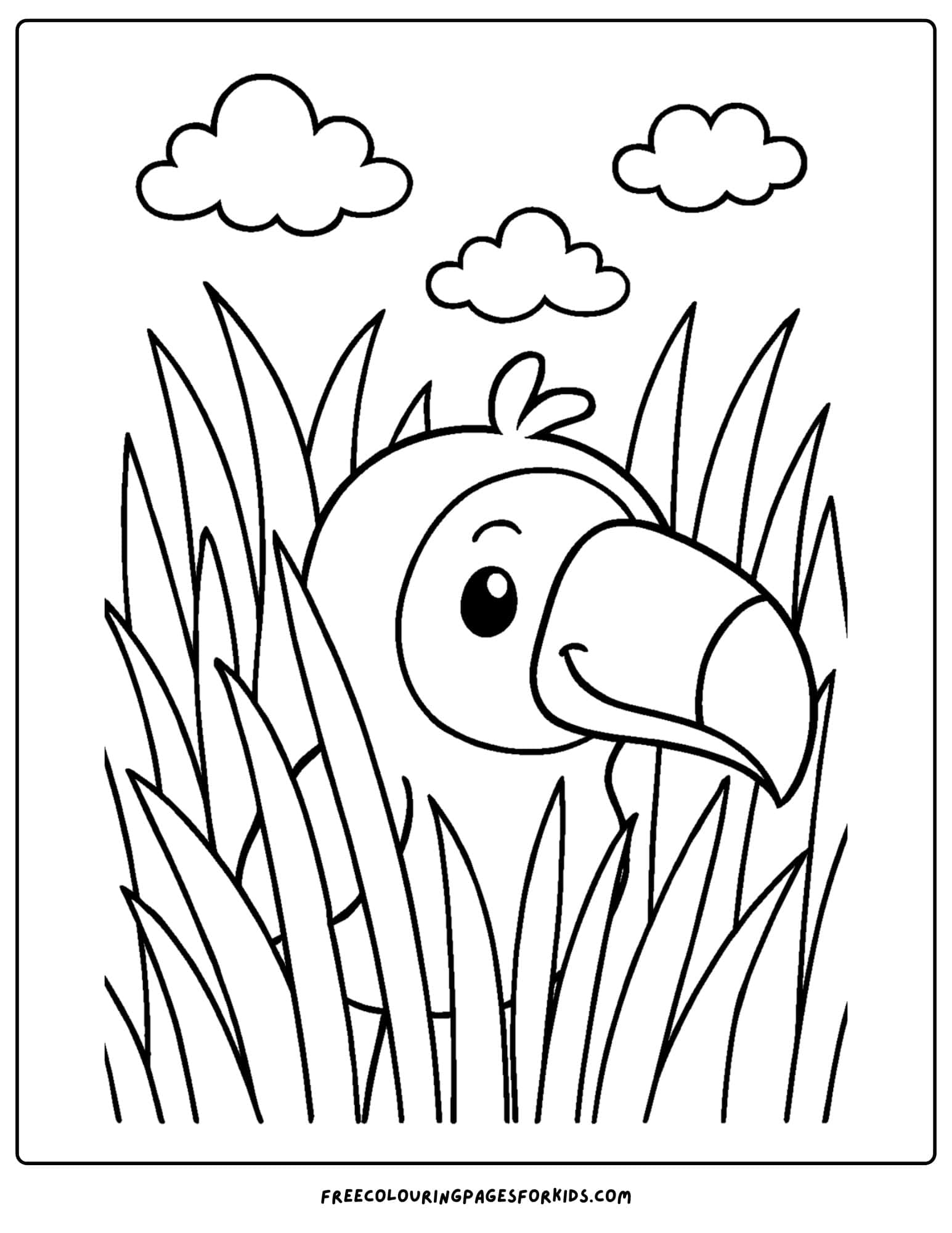 a toucan hiding in tall grass