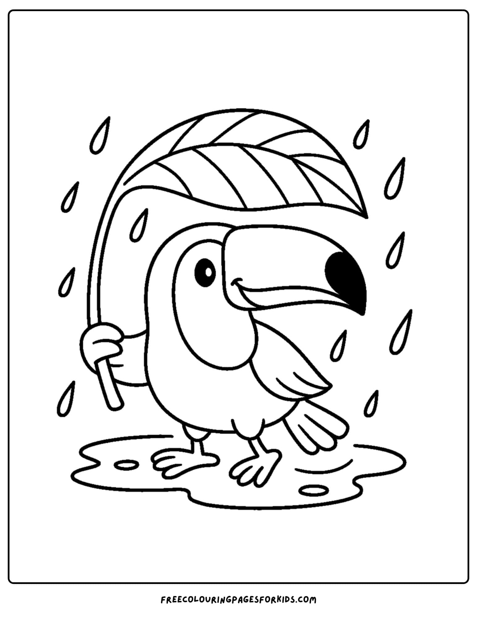 a toucan under a leaf sheltering from the rain
