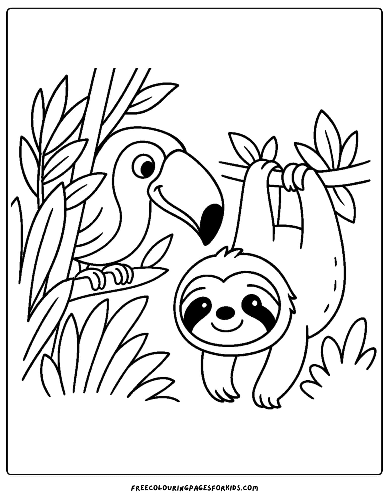 a toucan and a sloth