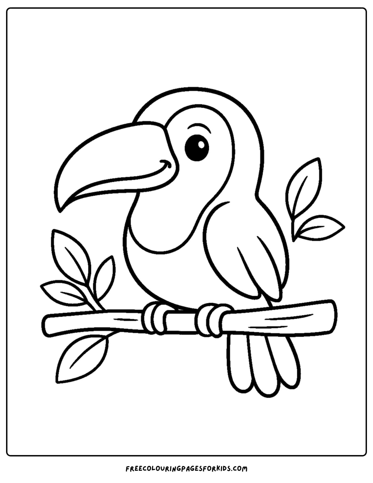 a toucan sitting on a branch