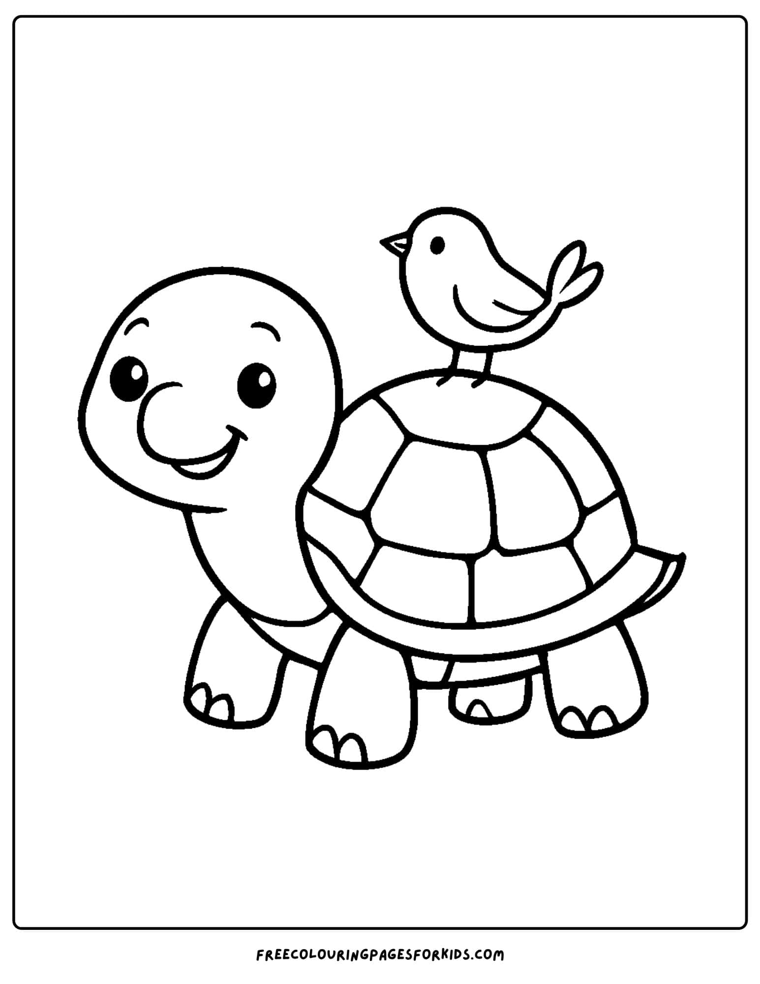 a turtle with a bird on its back