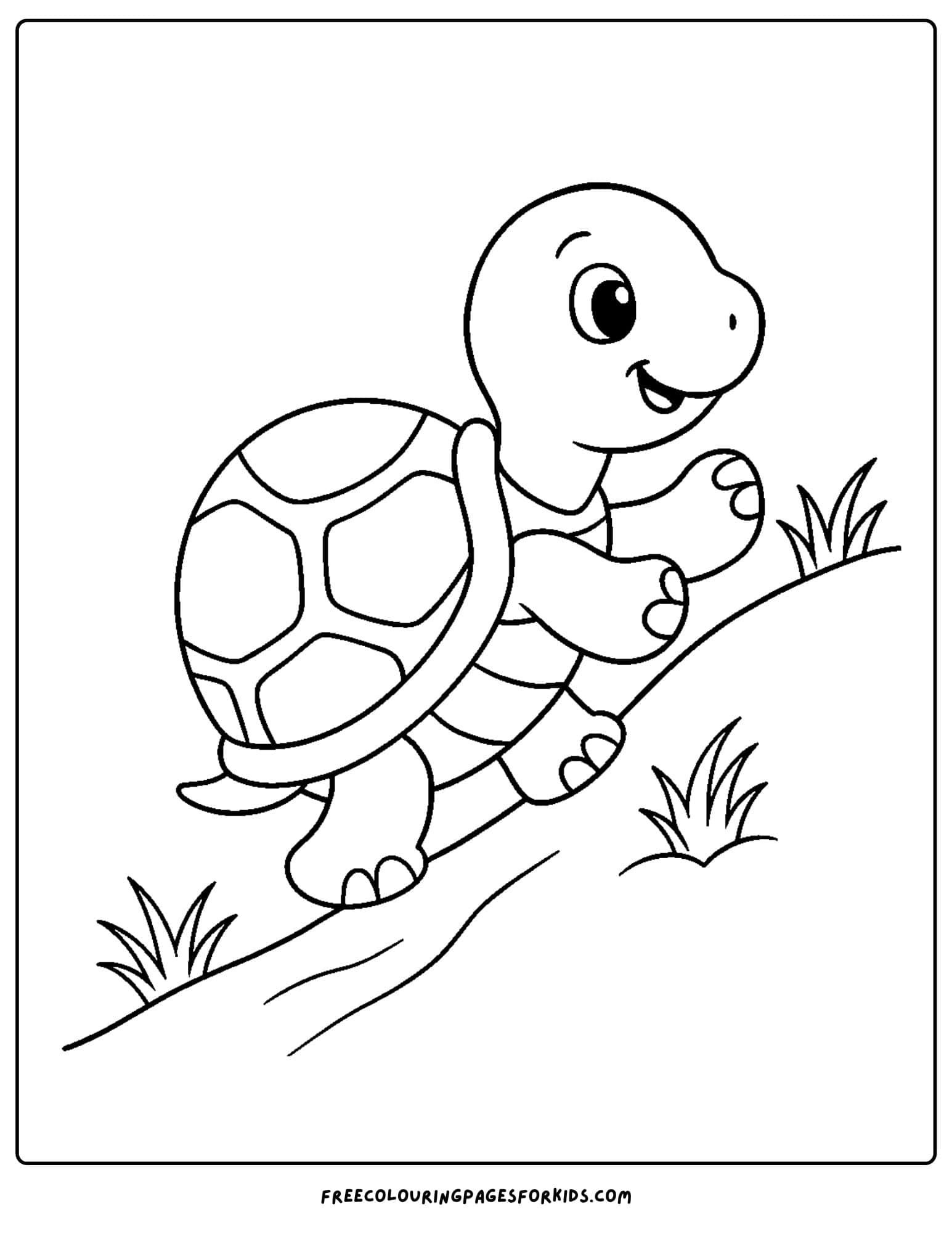 a turtle walking up a hill