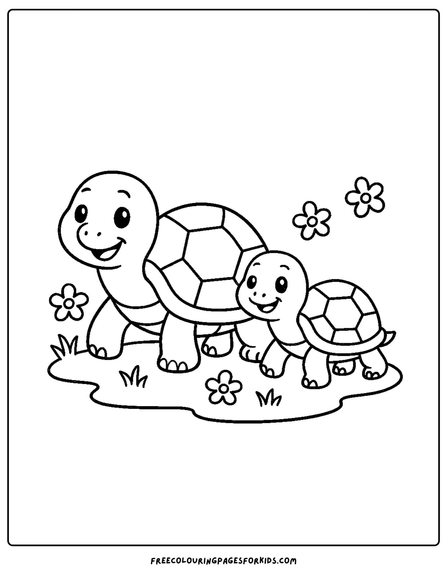 a turtle family