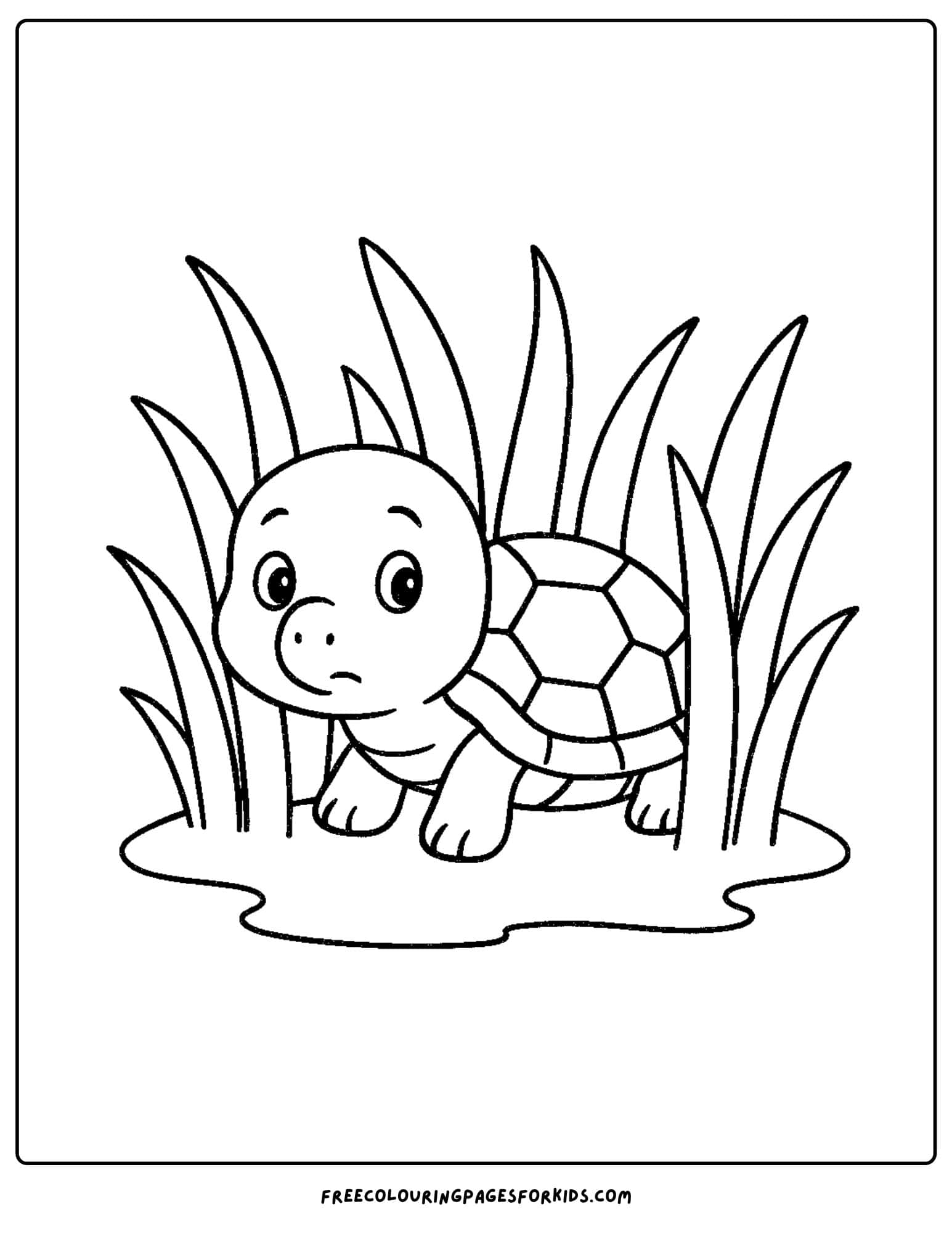 a turtle hiding in the reeds